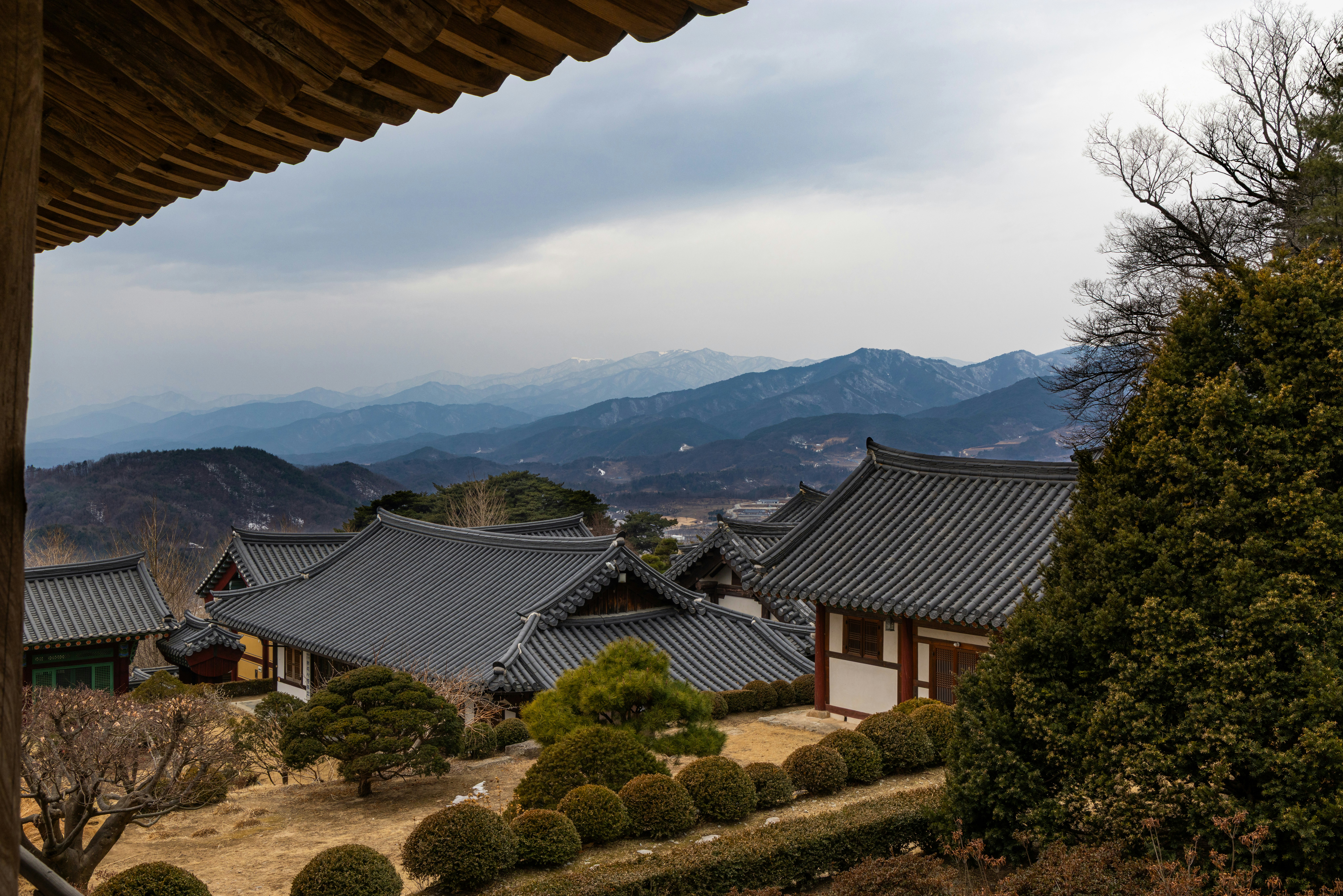Photo by dhs4590