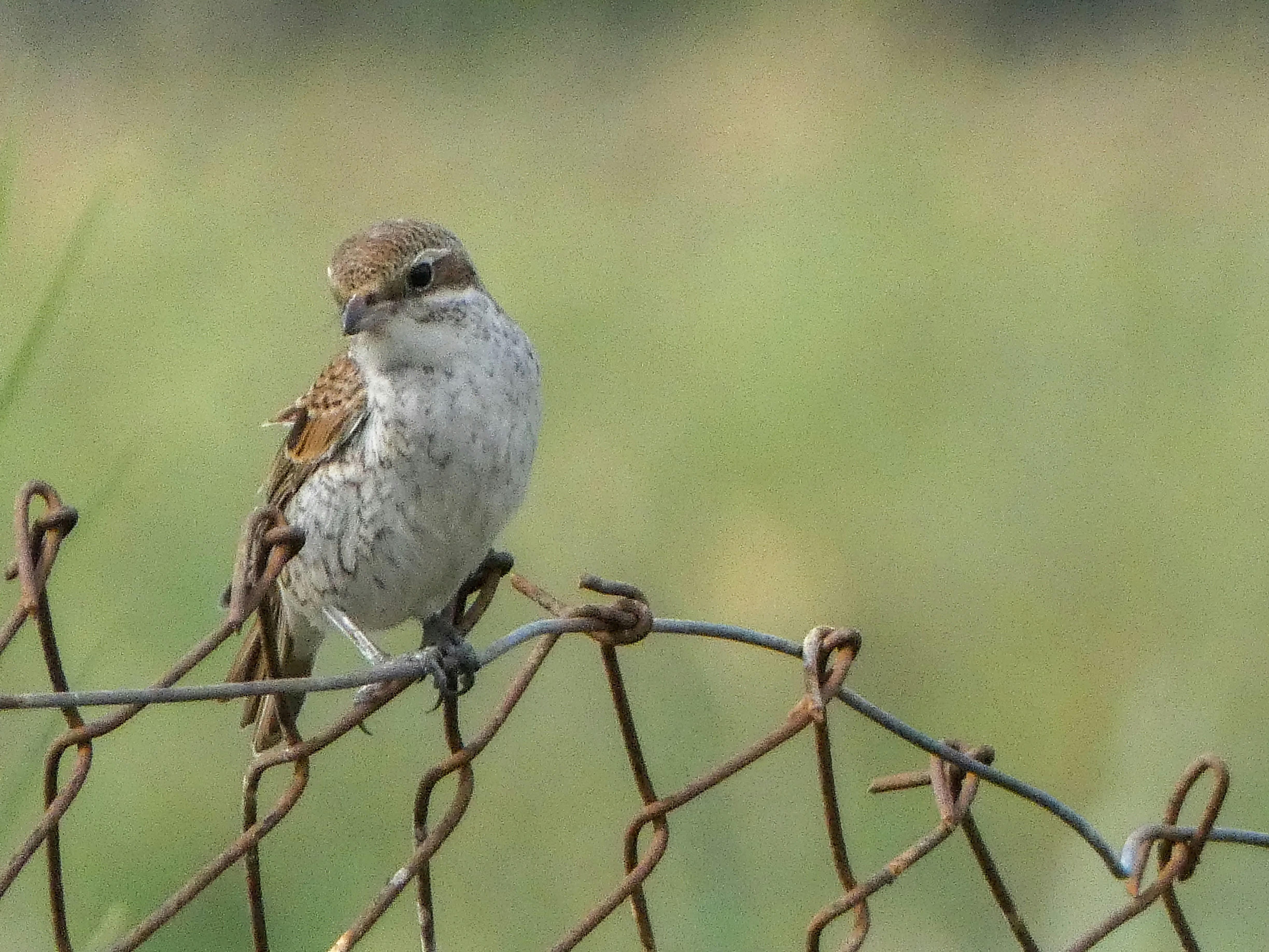 Photo by onderandinc