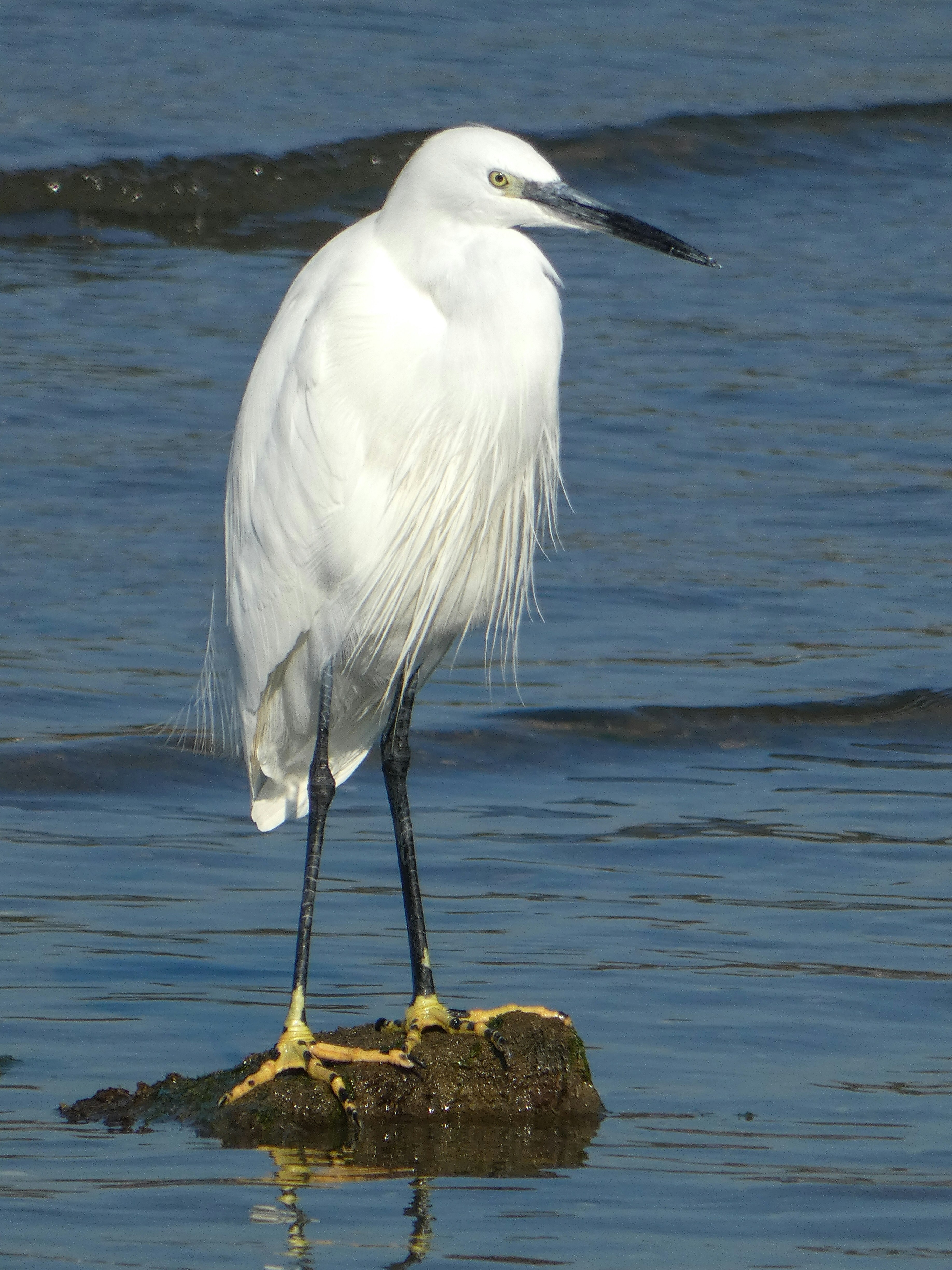 Photo by onderandinc