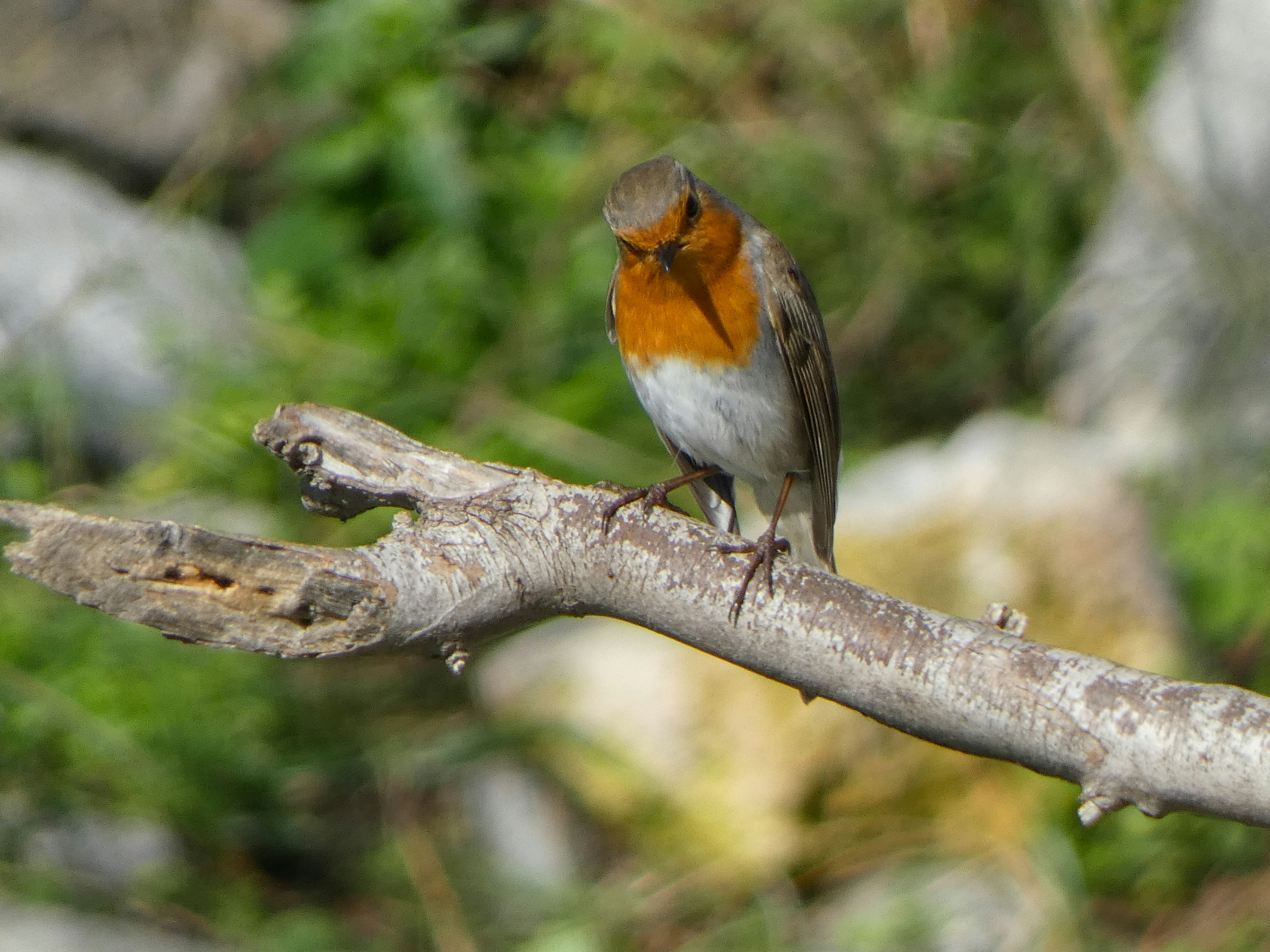 Photo by onderandinc