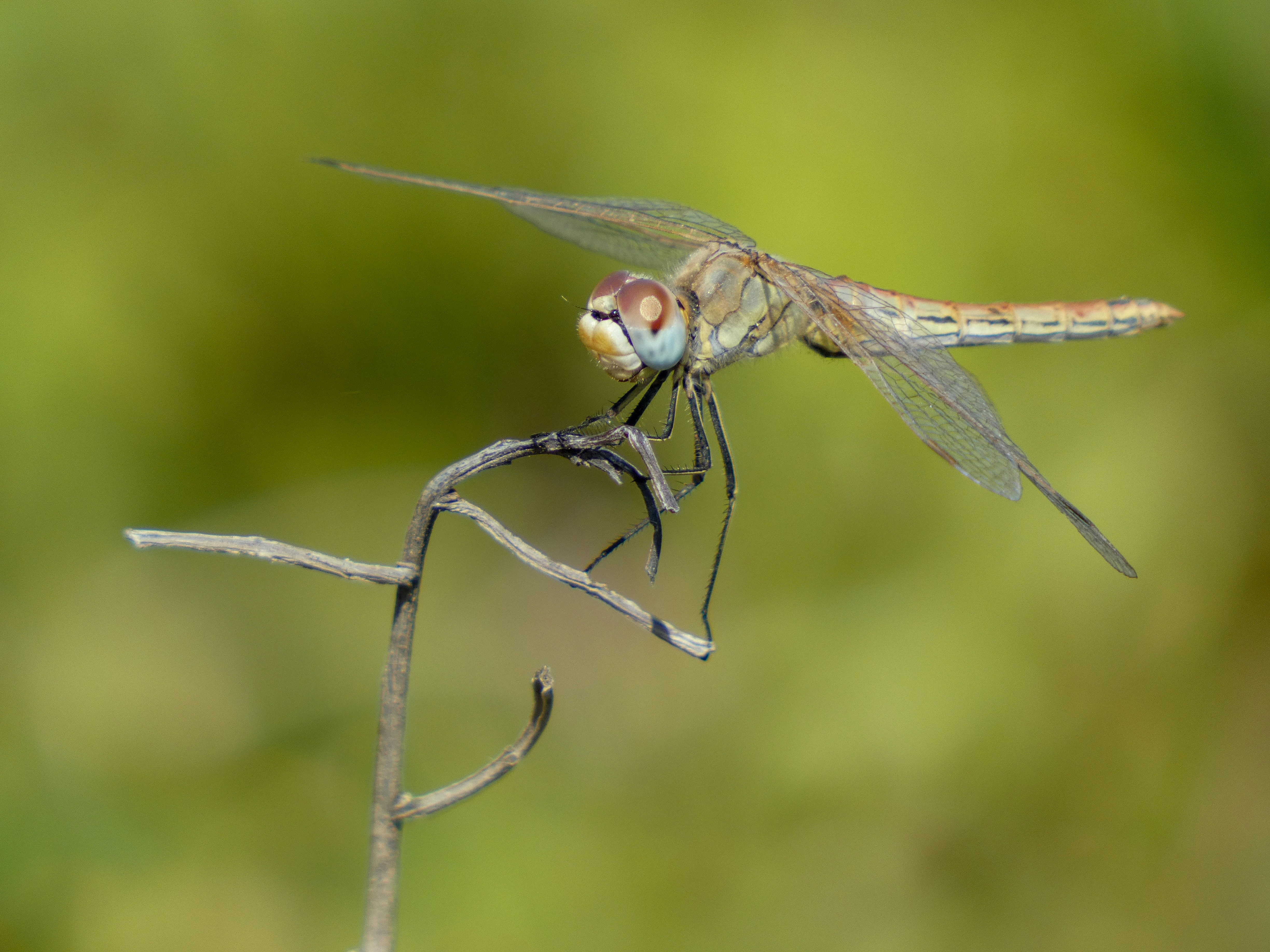 Photo by onderandinc