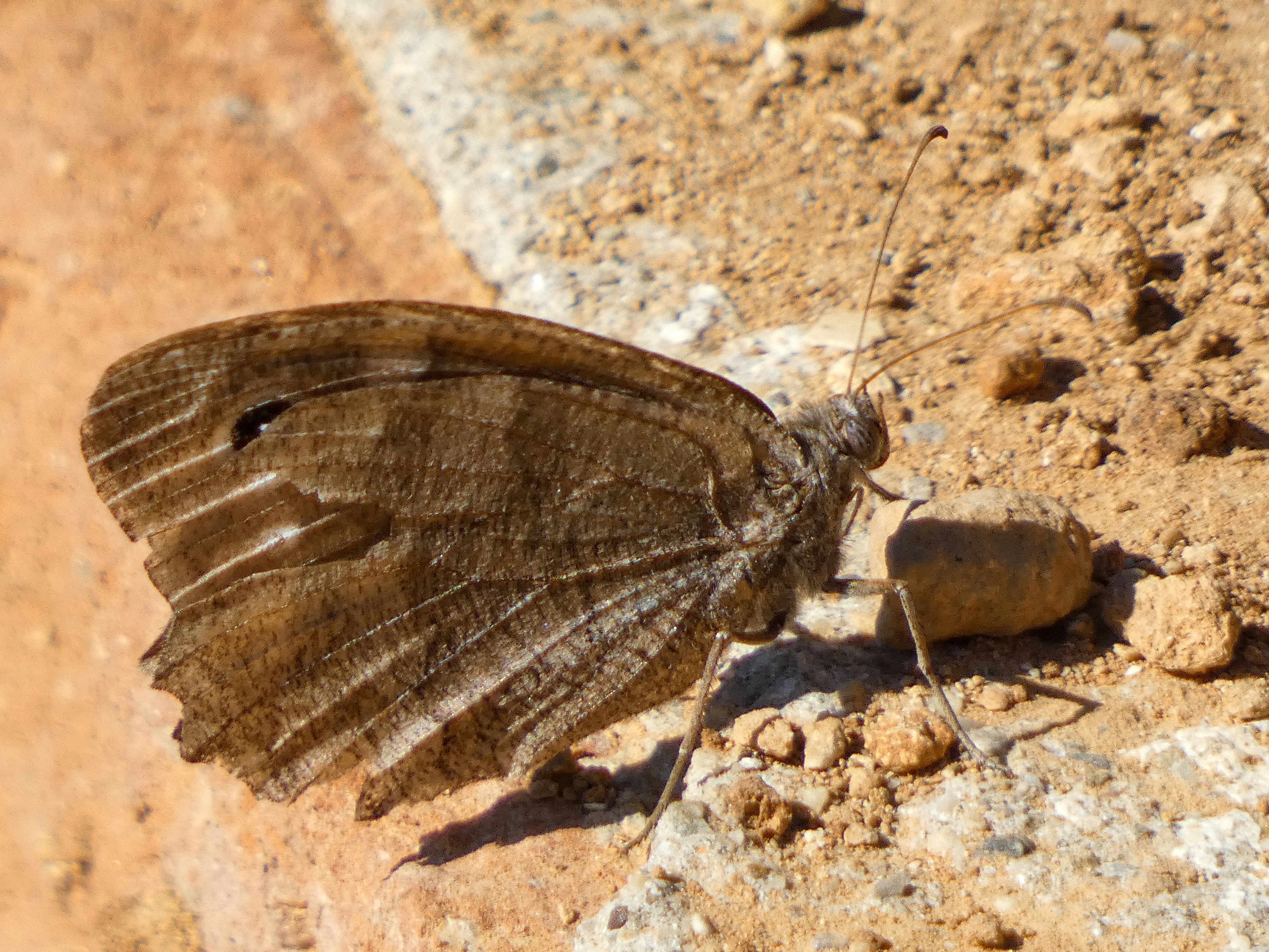 Photo by onderandinc