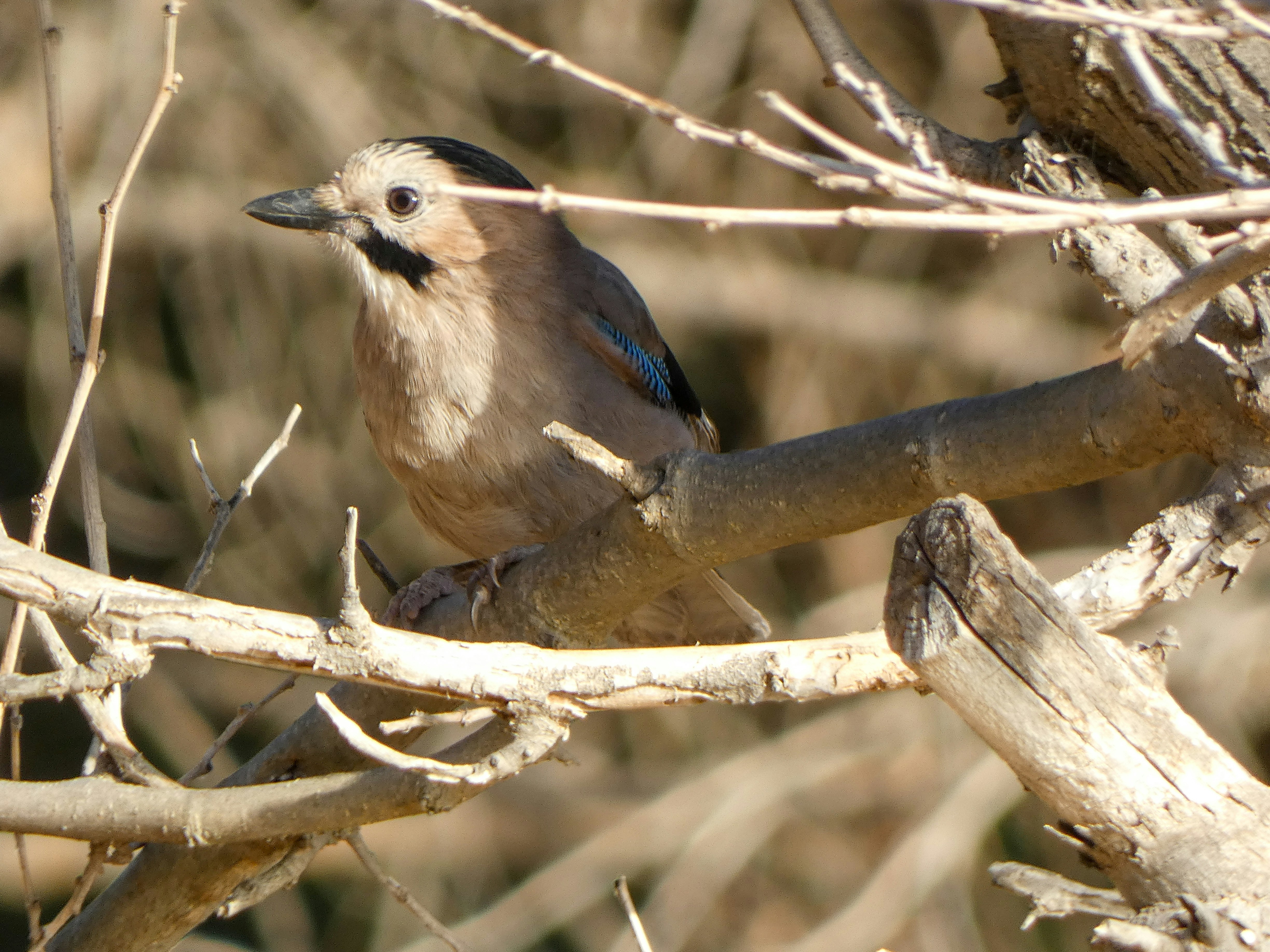 Photo by onderandinc