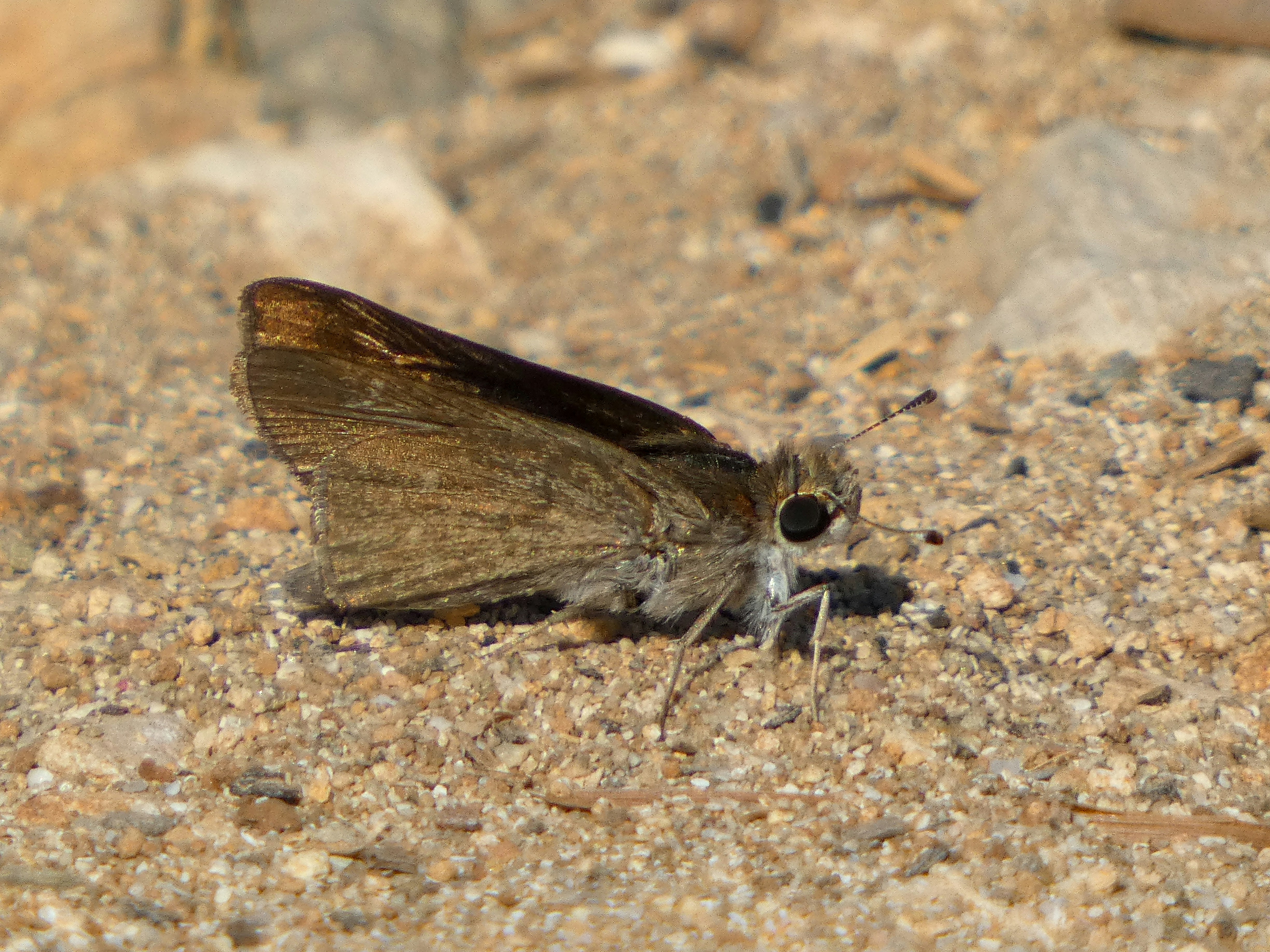 Photo by onderandinc