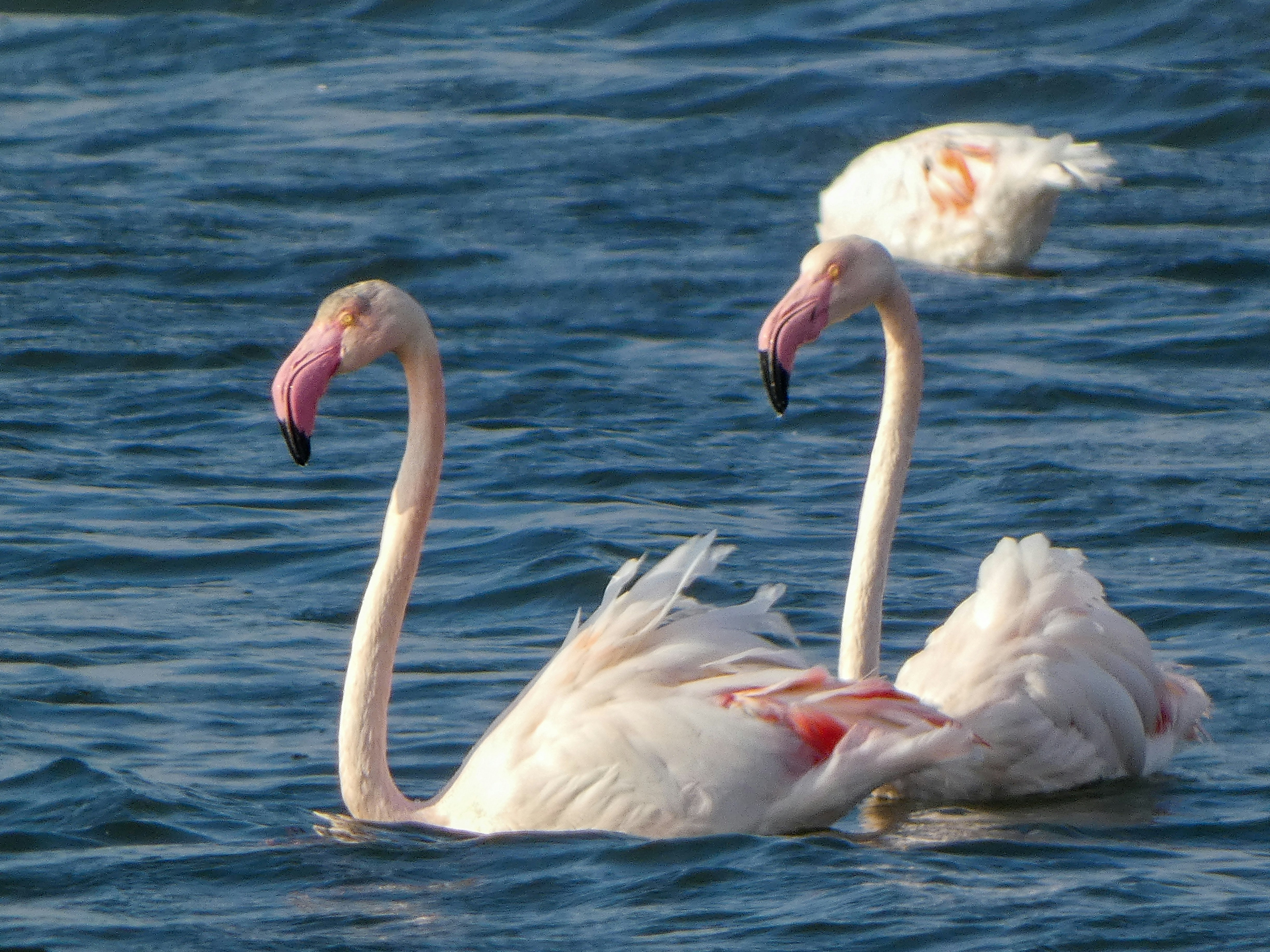 Photo by onderandinc