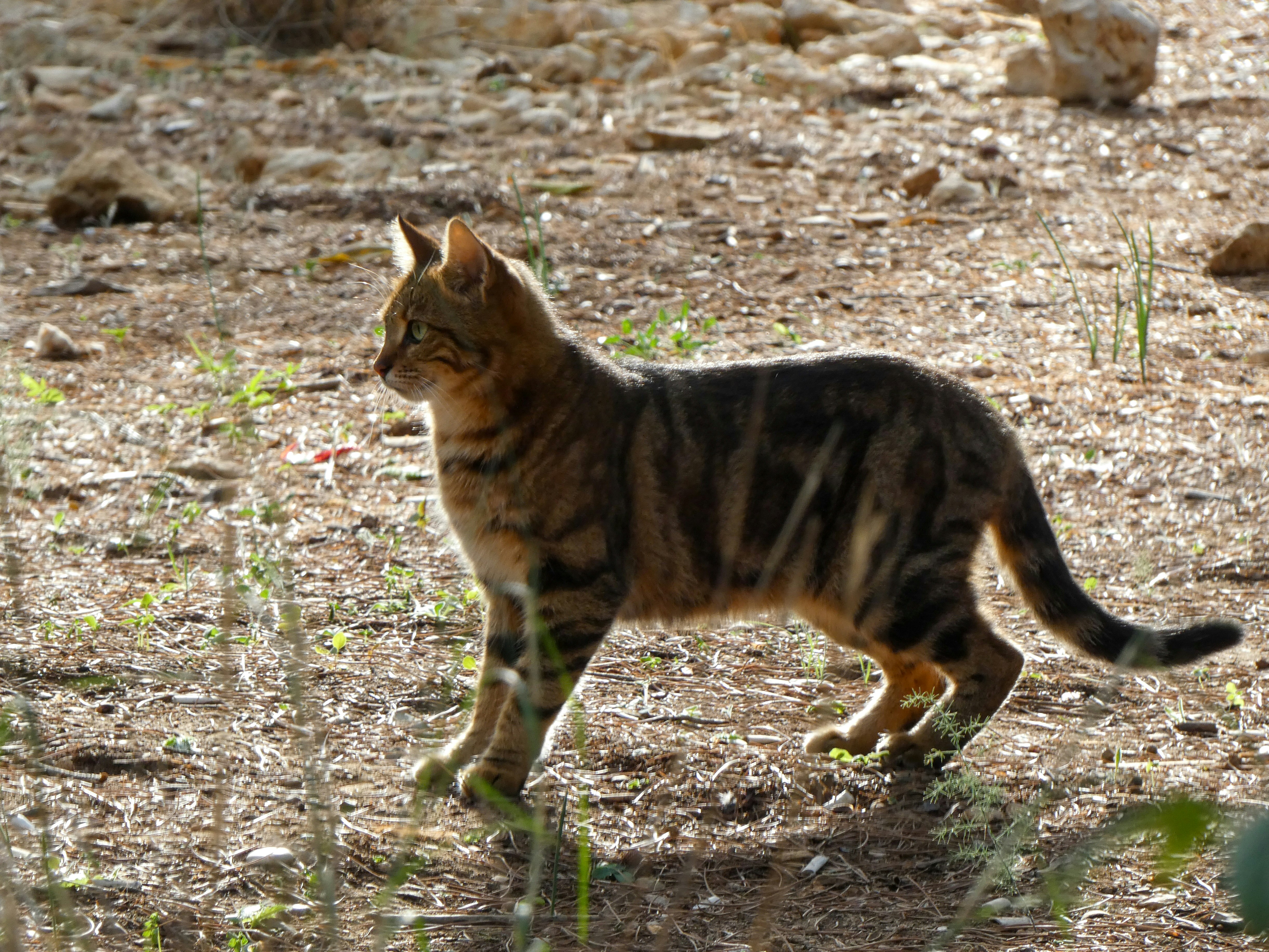 Photo by onderandinc