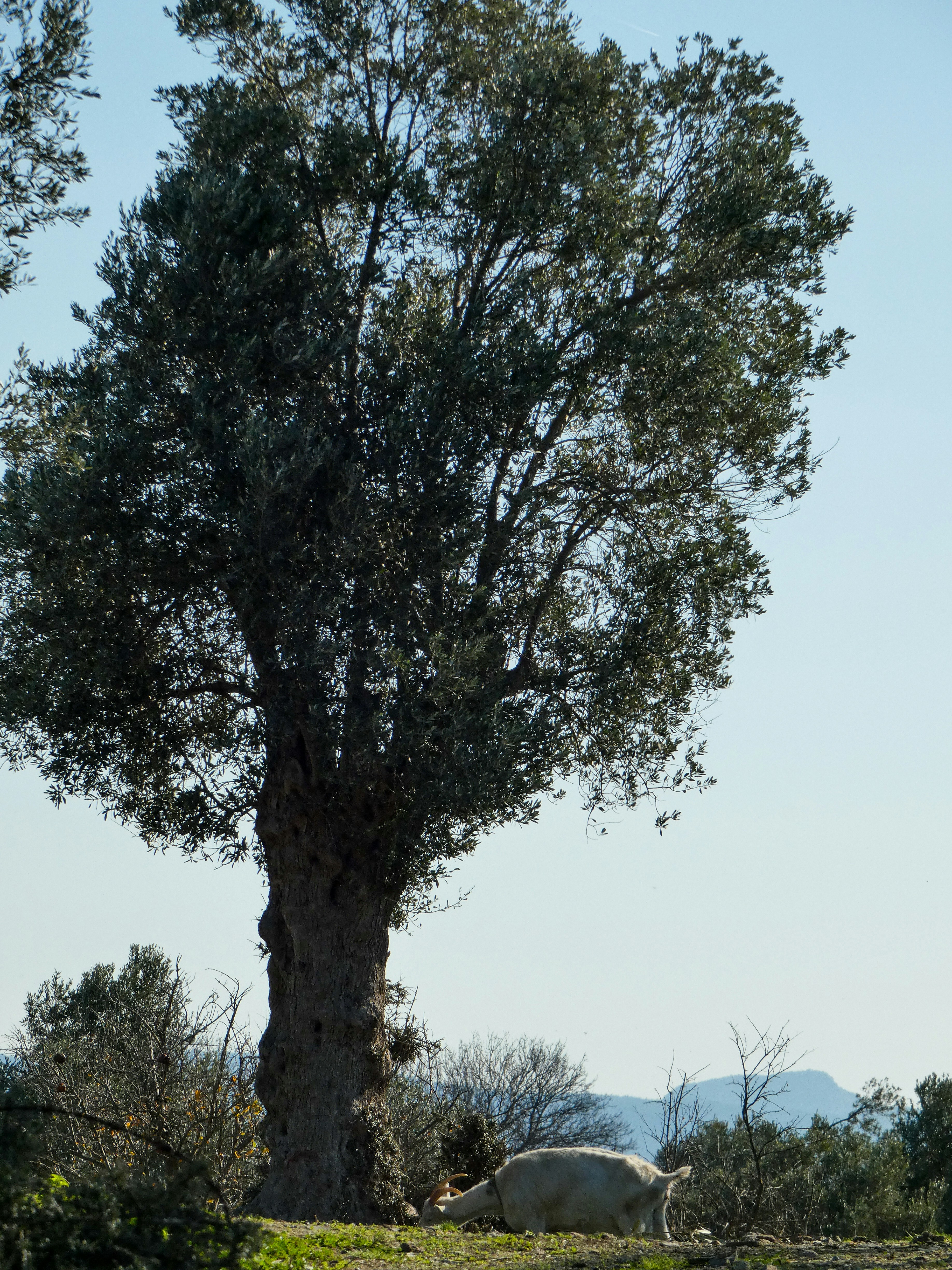 Photo by onderandinc