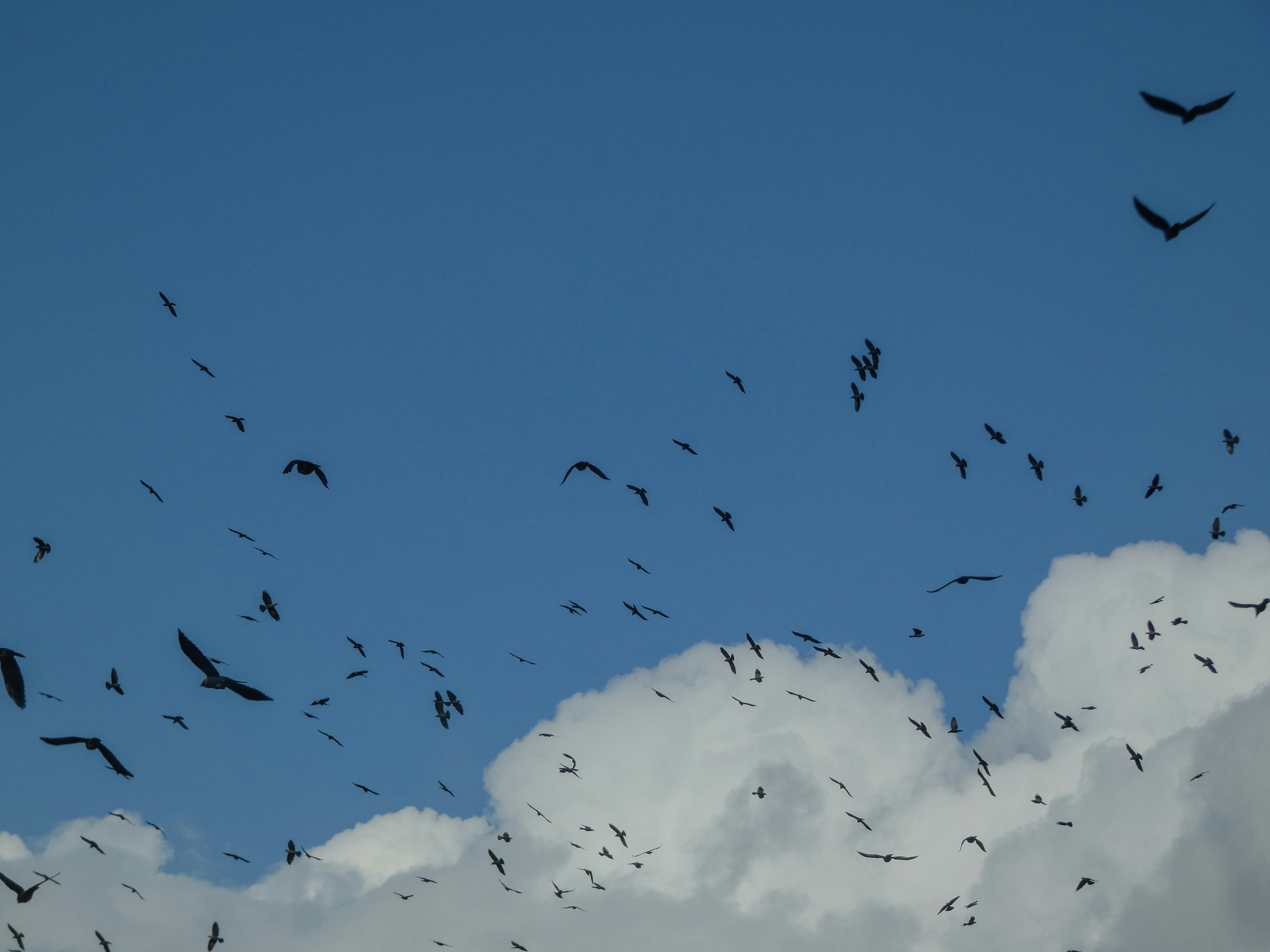 Photo by onderandinc