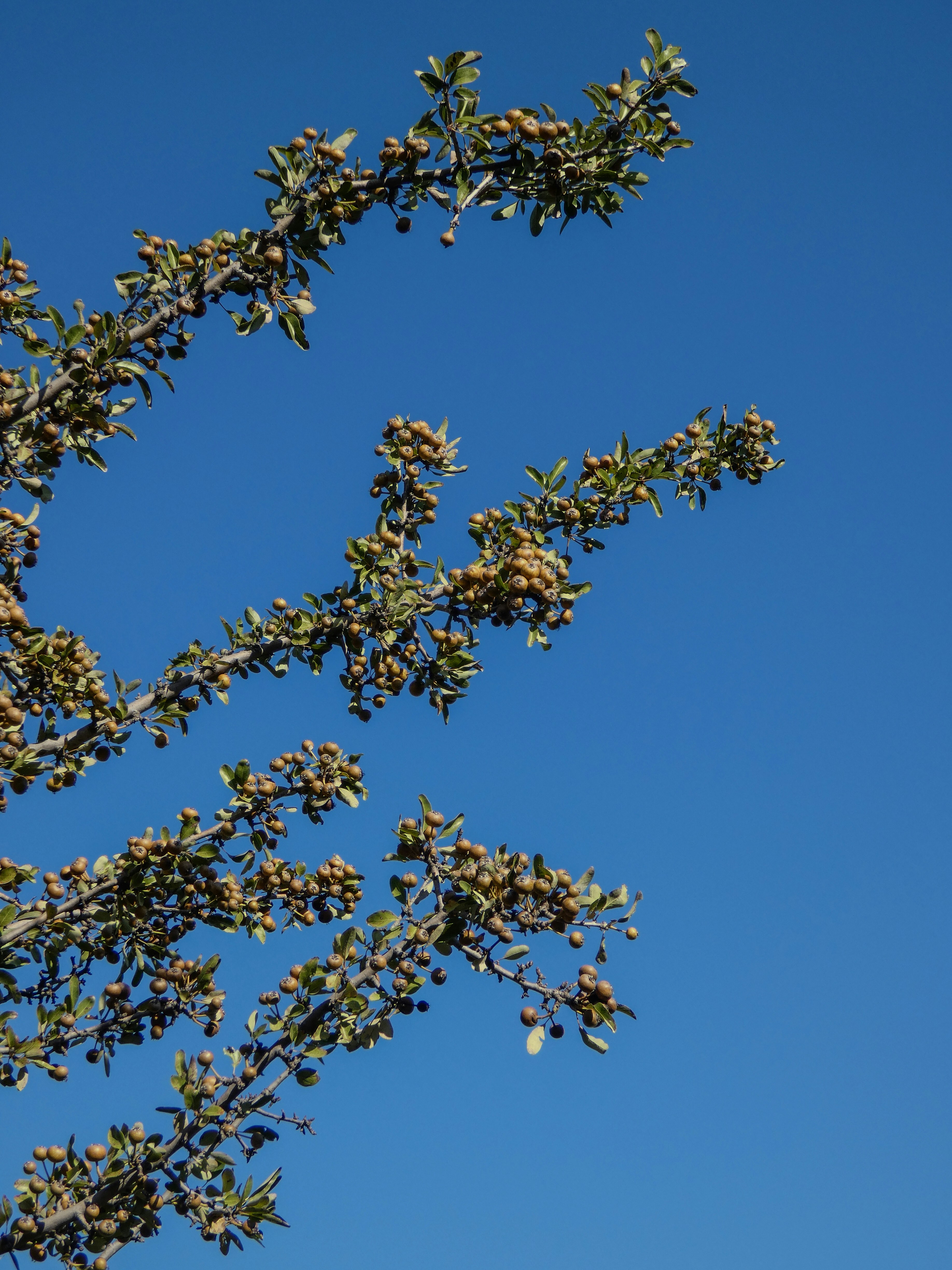 Photo by onderandinc