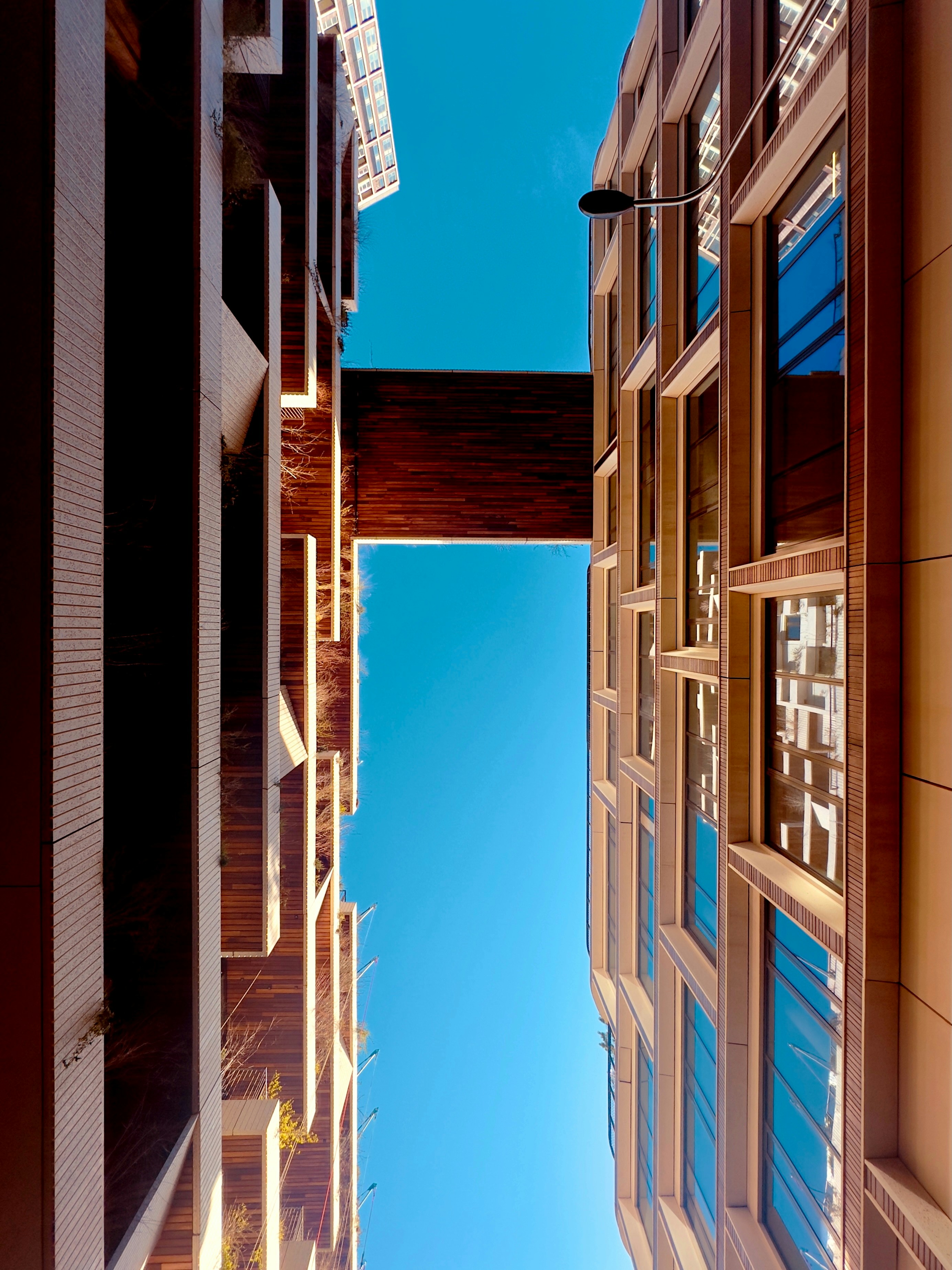 Photo by david_underland