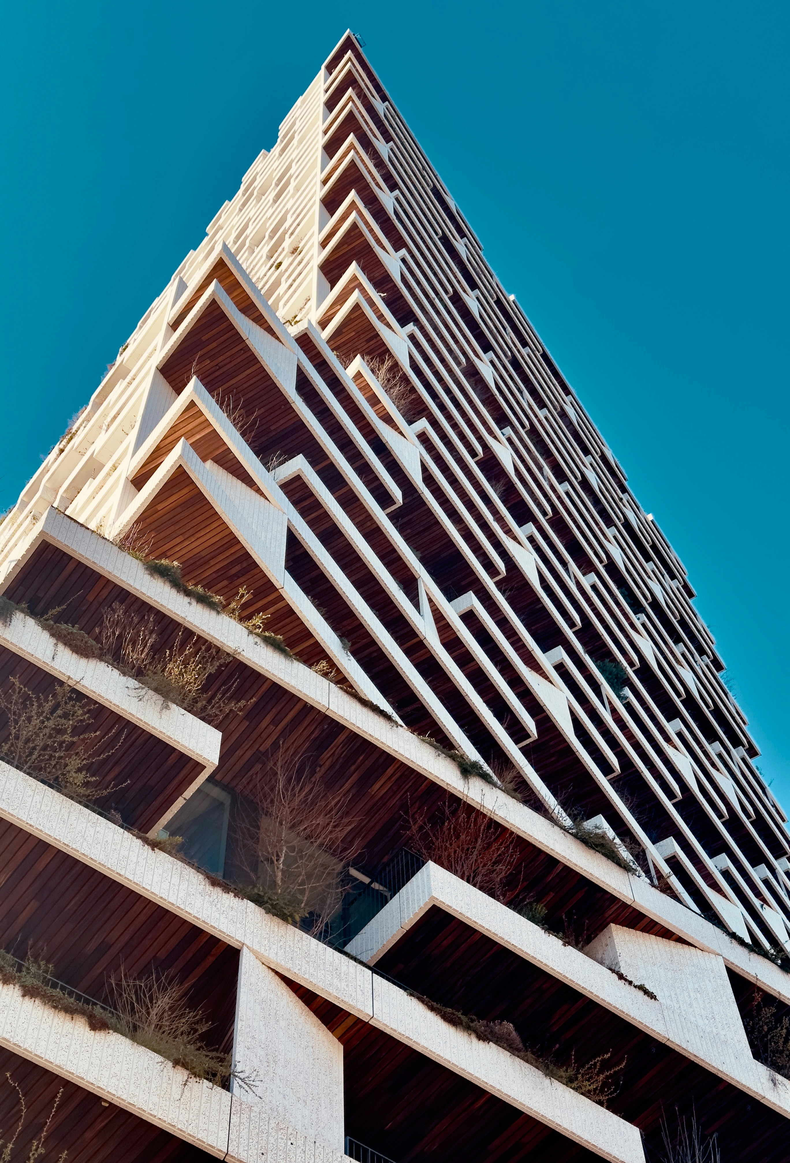 Photo by david_underland