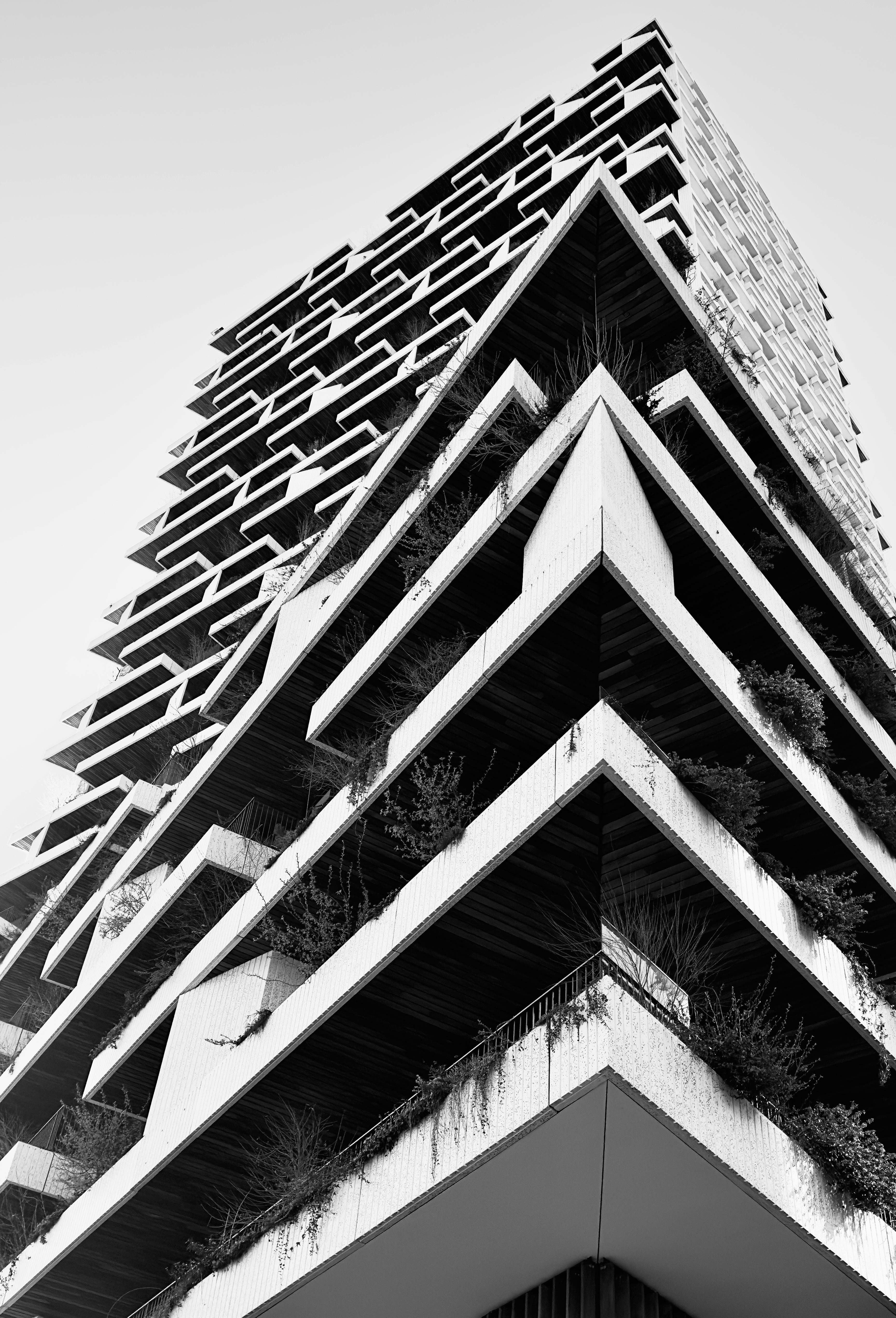 Photo by david_underland