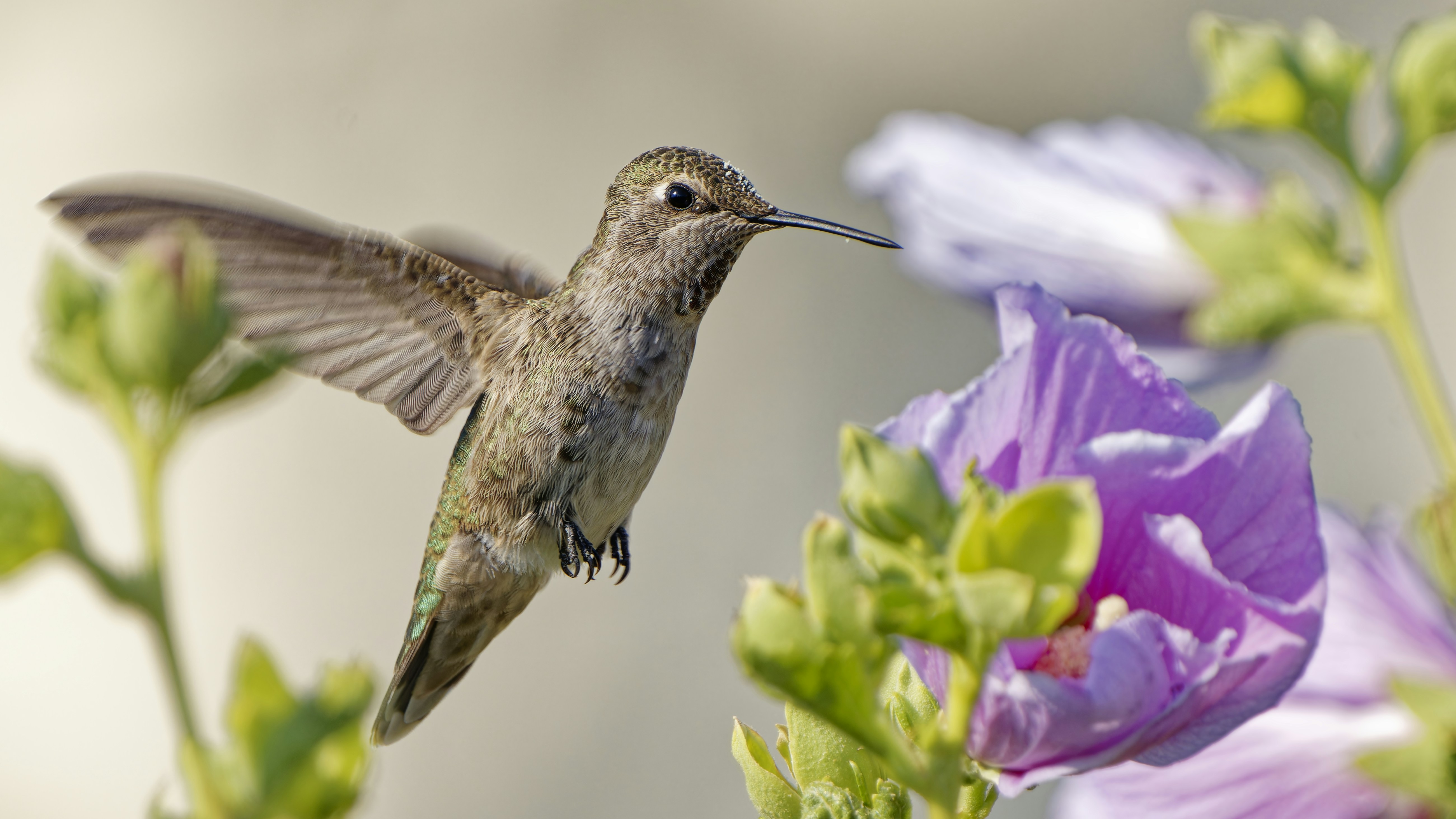 Photo by patrickbigelow_zoom_in