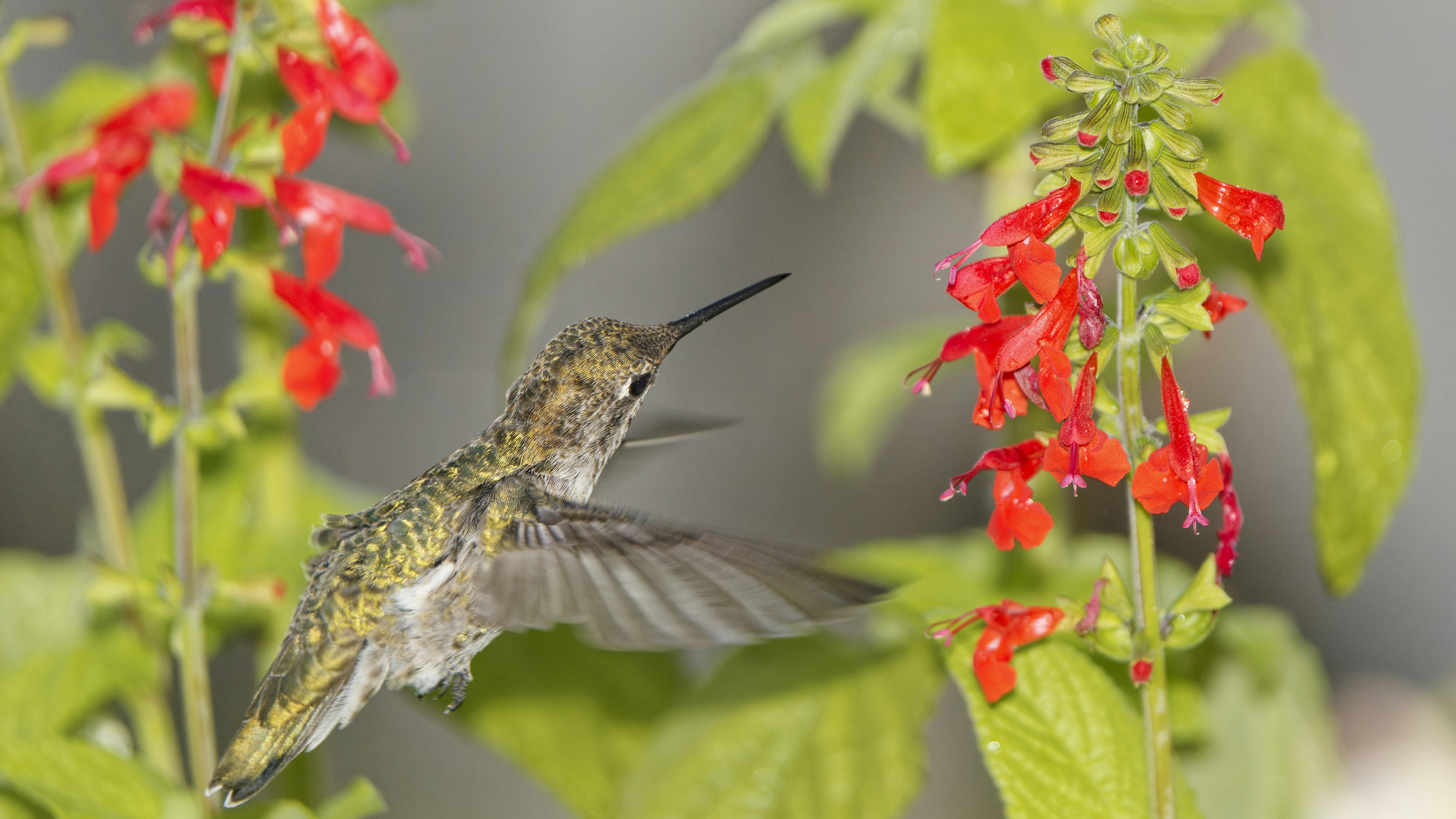 Photo by patrickbigelow_zoom_in