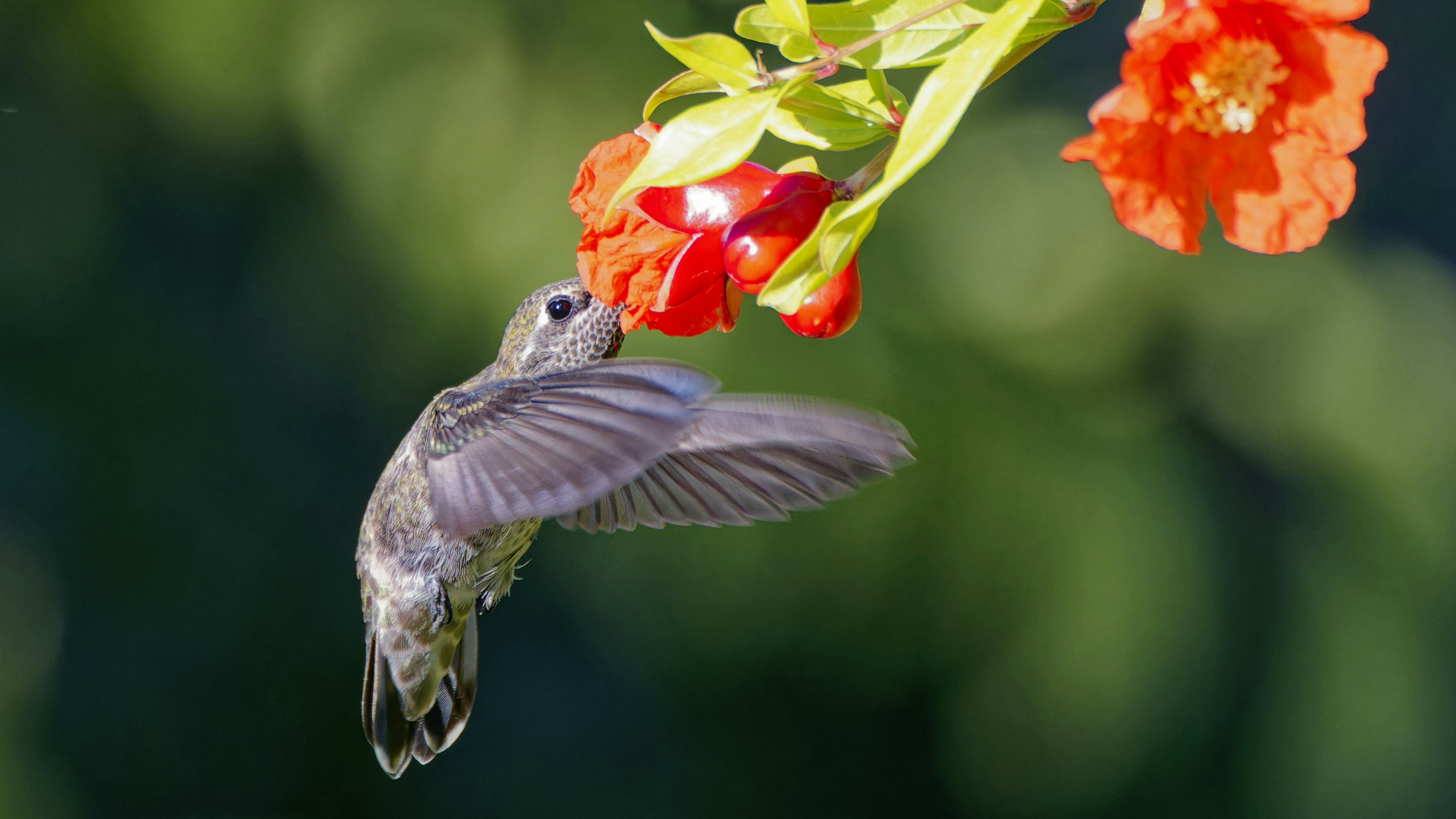 Photo by patrickbigelow_zoom_in