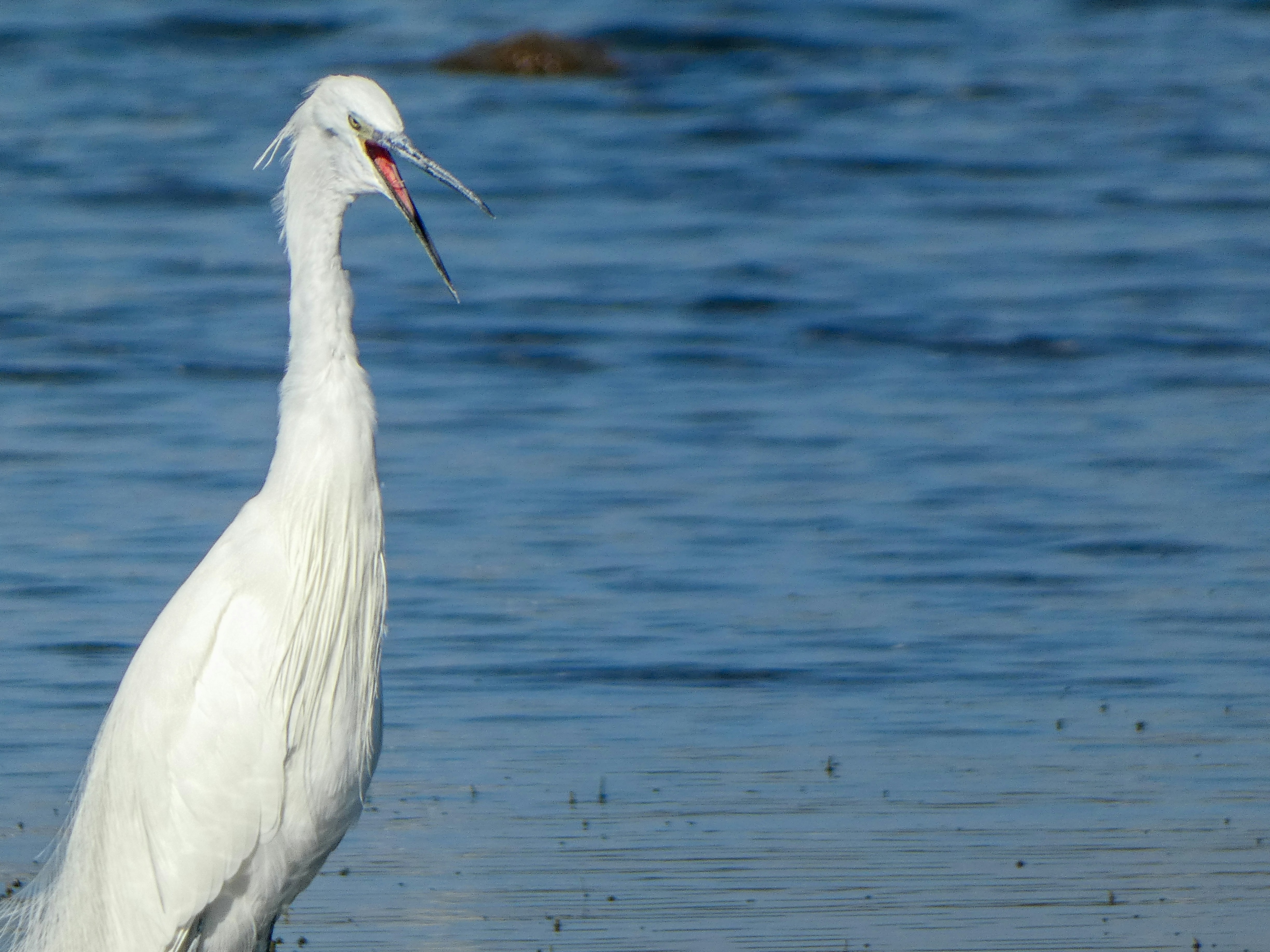 Photo by onderandinc