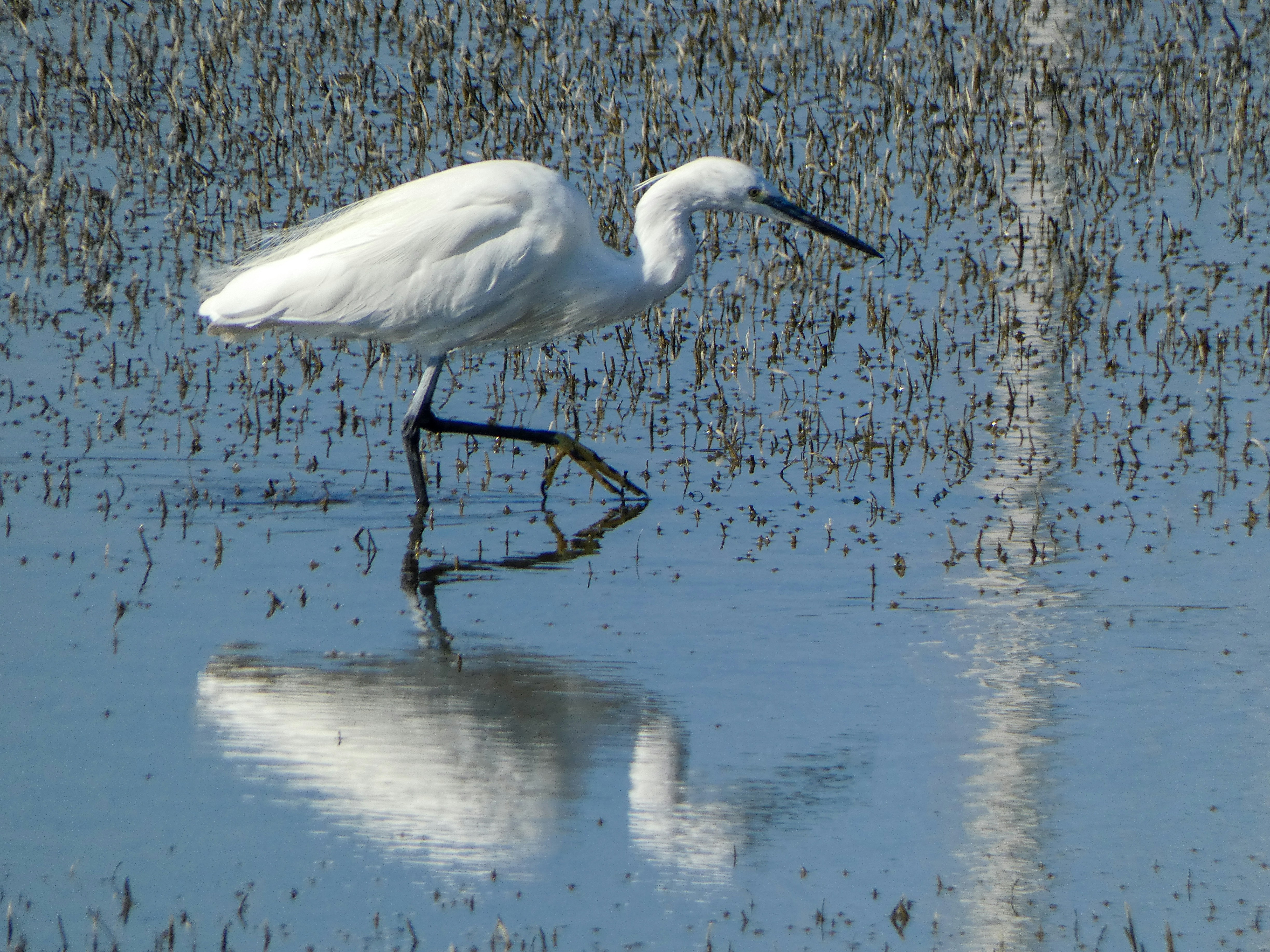 Photo by onderandinc