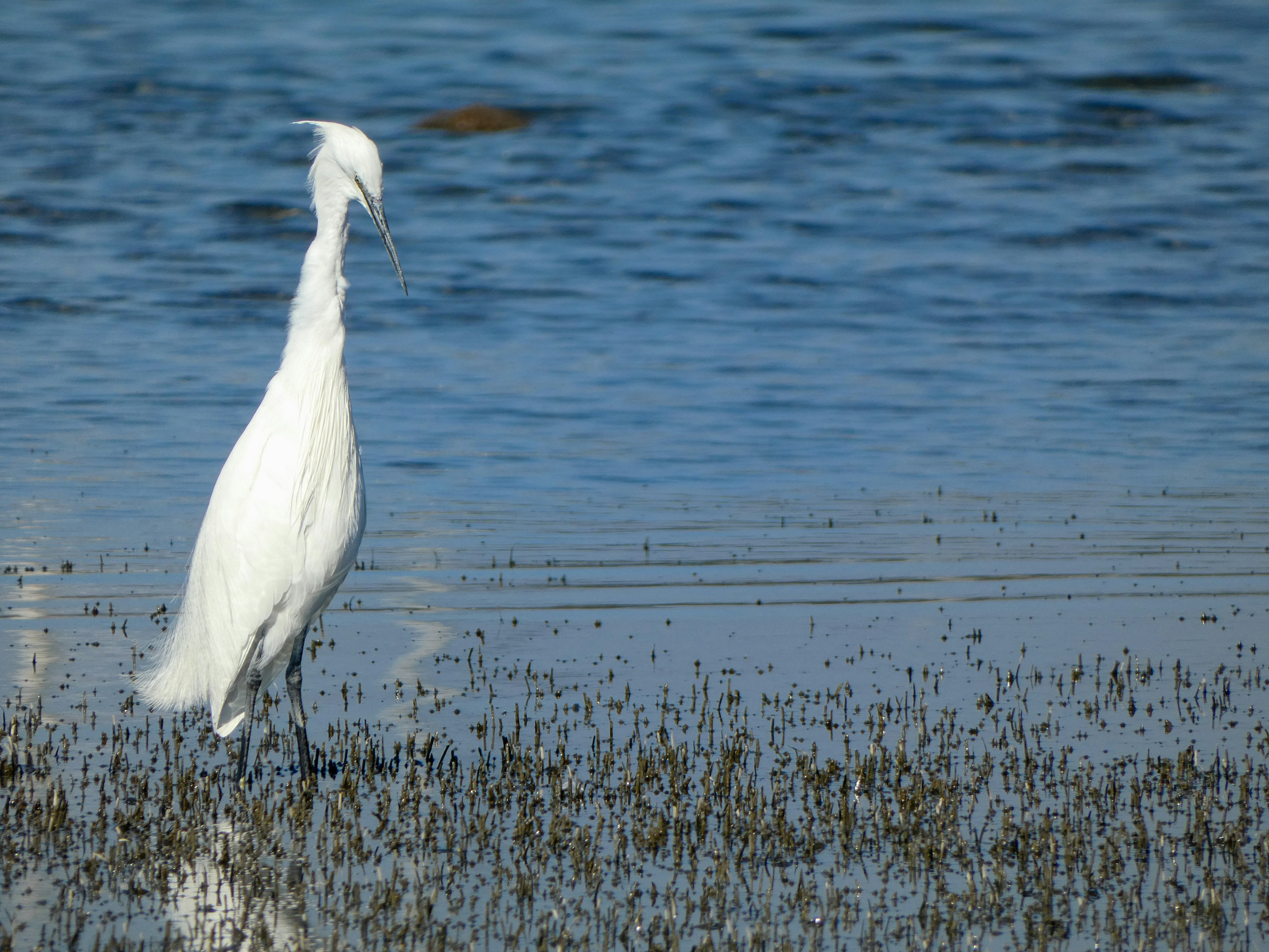 Photo by onderandinc