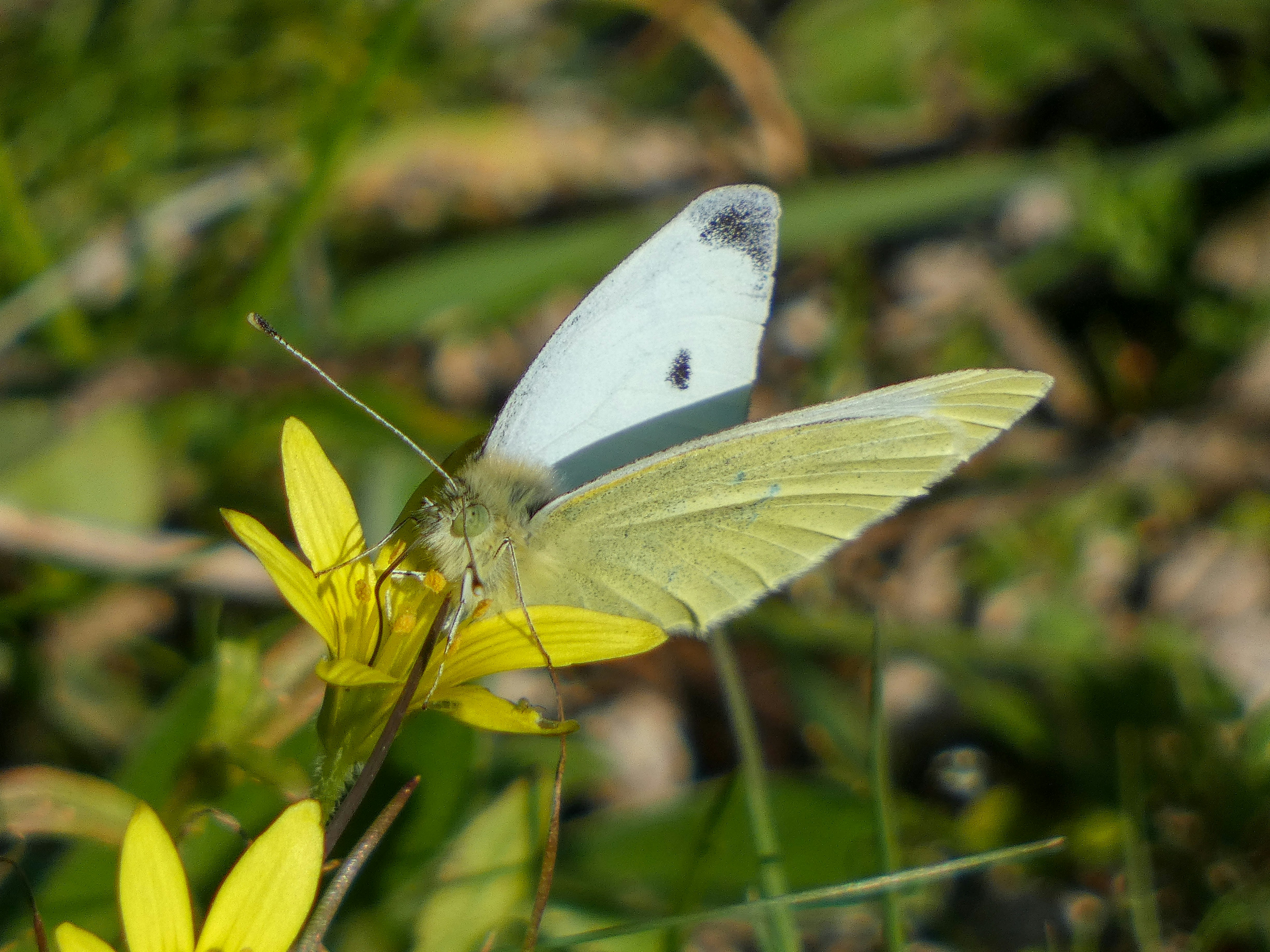 Photo by onderandinc