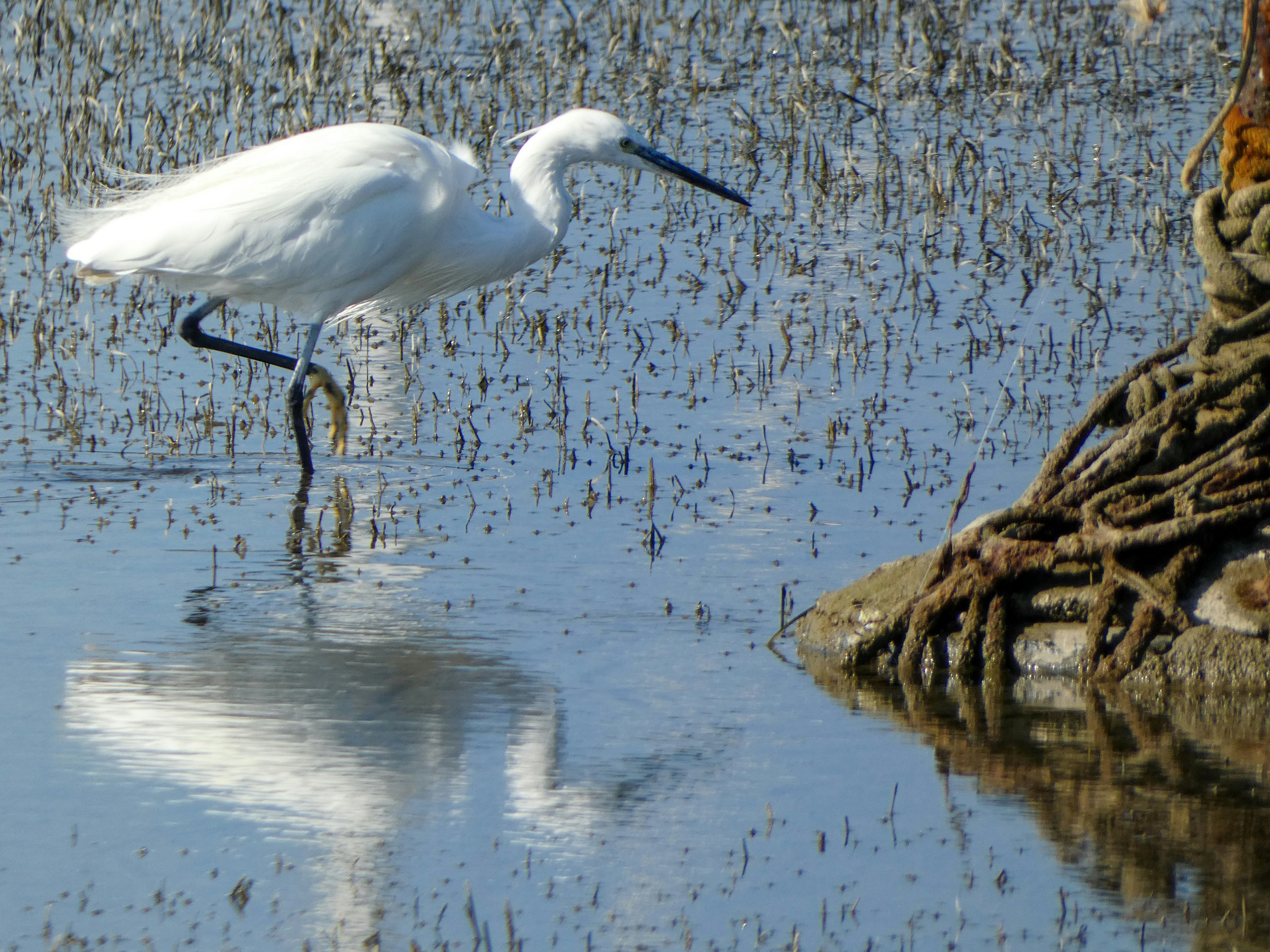 Photo by onderandinc