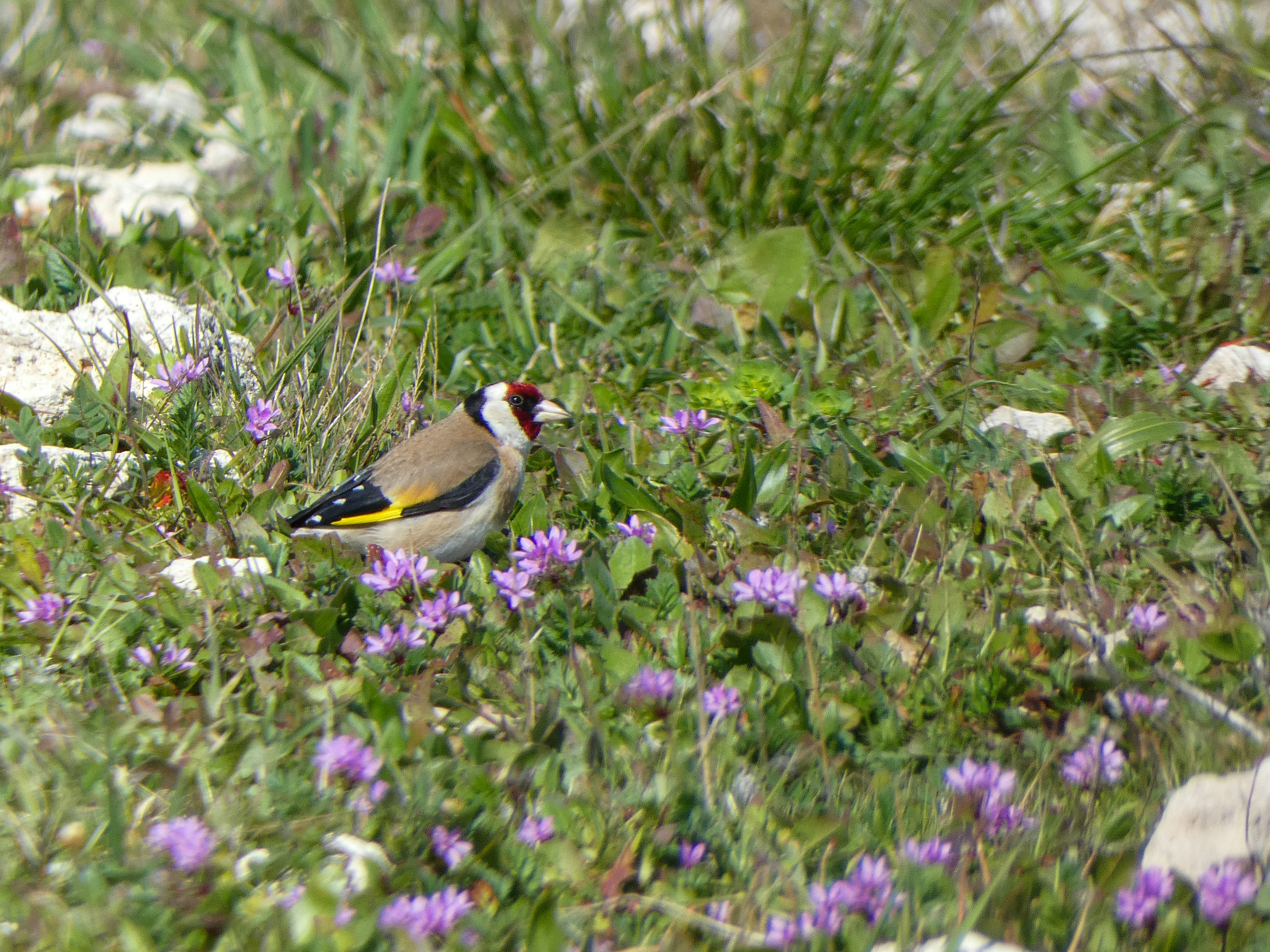 Photo by onderandinc