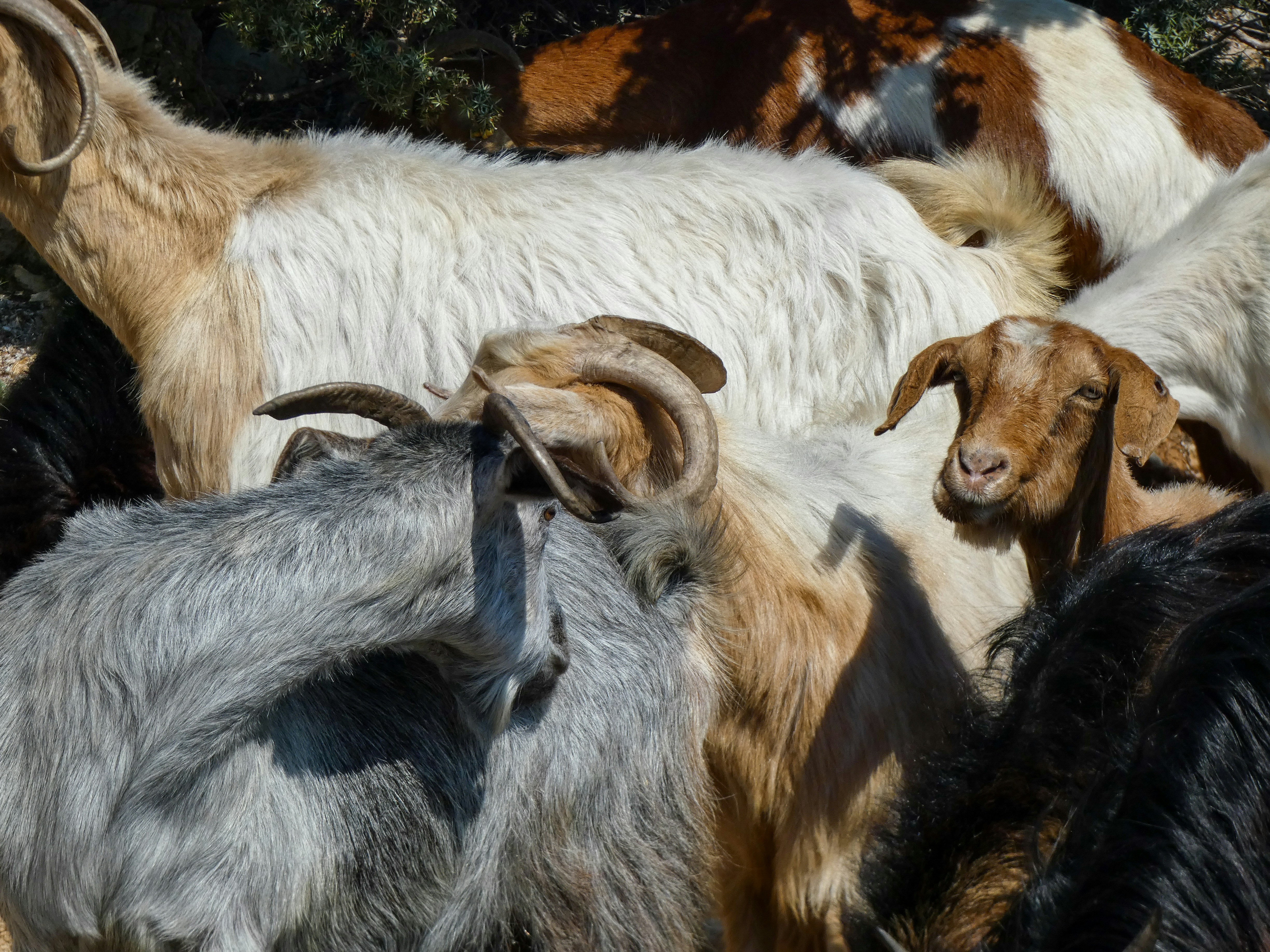 Photo by onderandinc