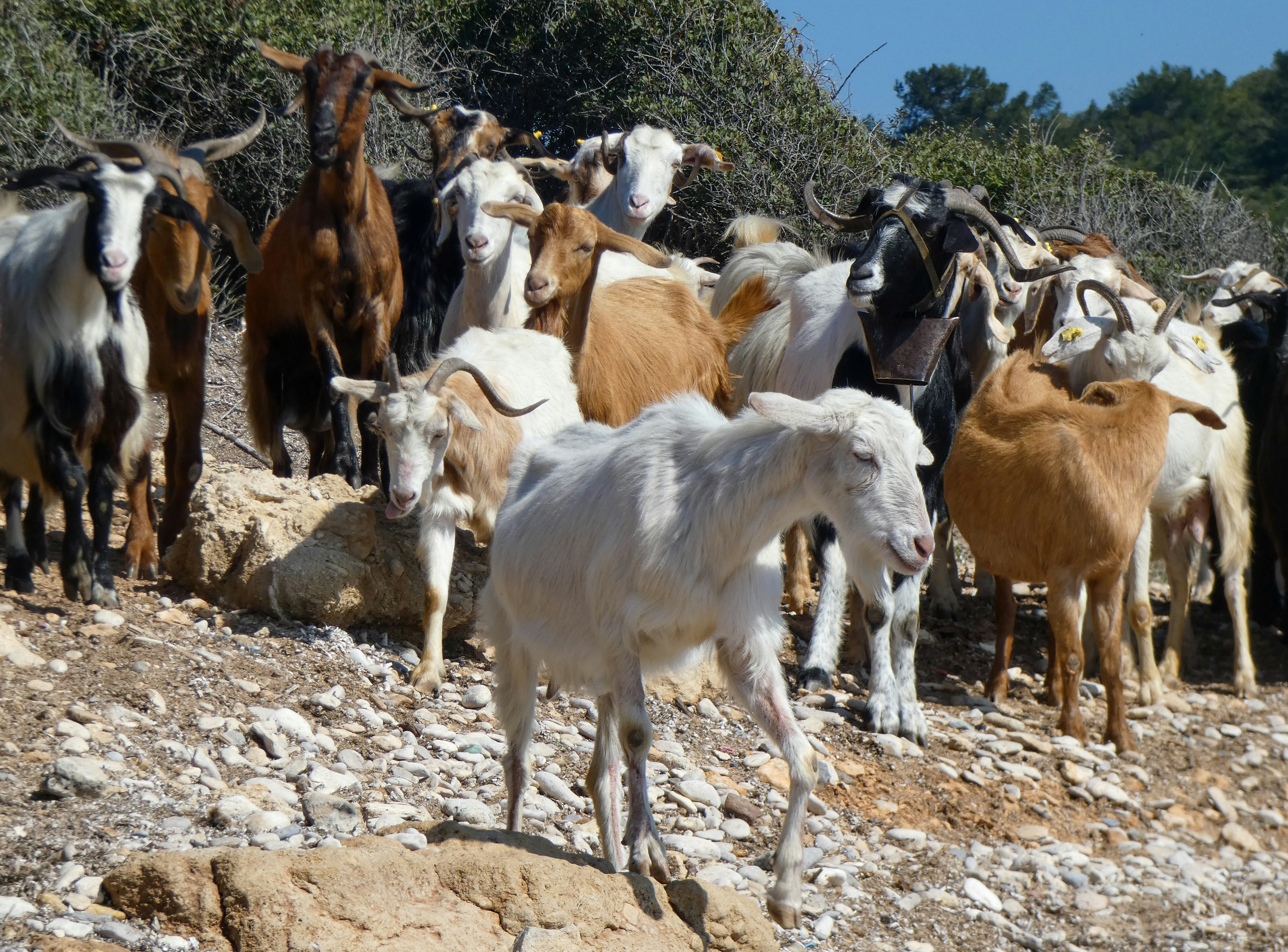 Photo by onderandinc