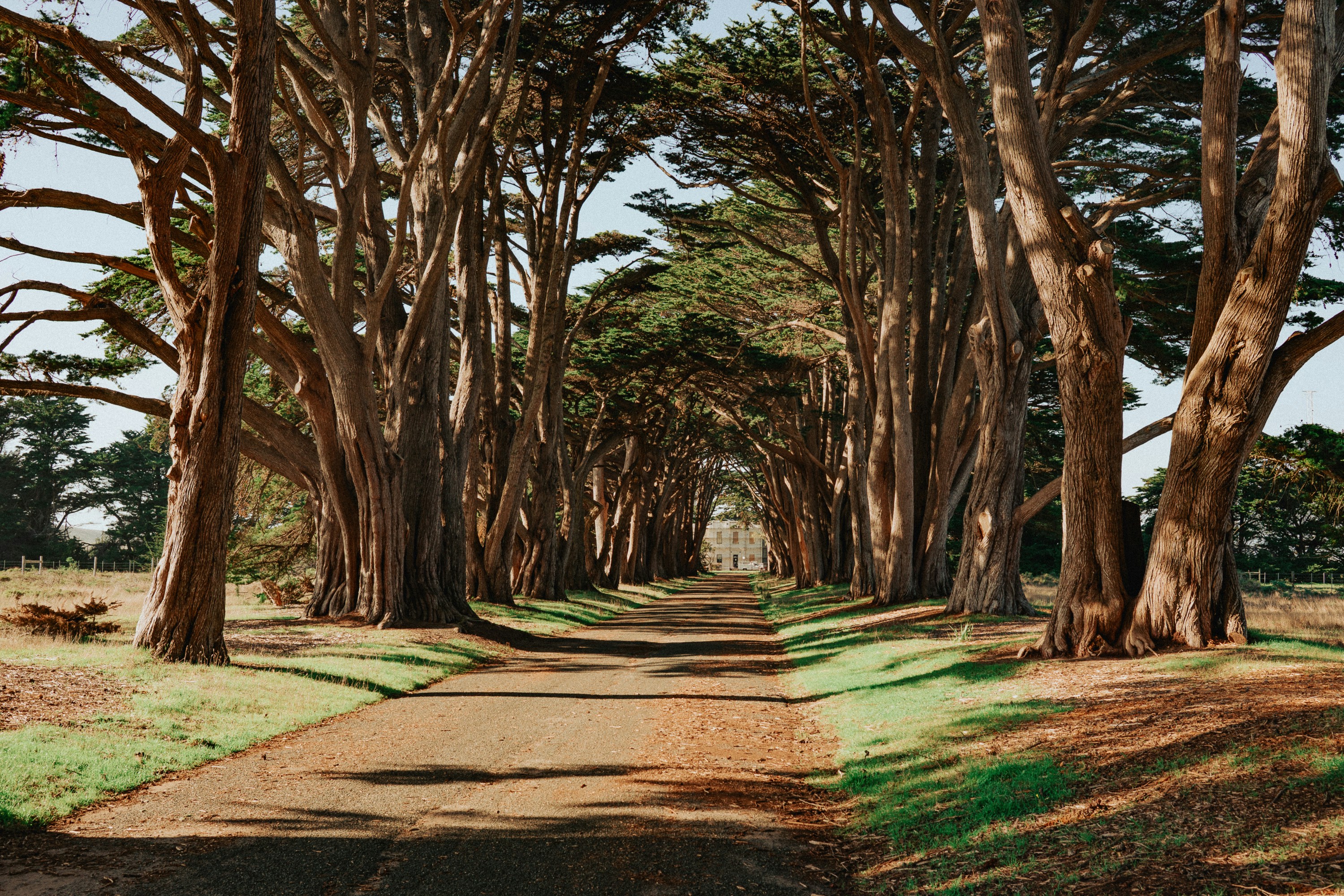 Photo by cedricletsch