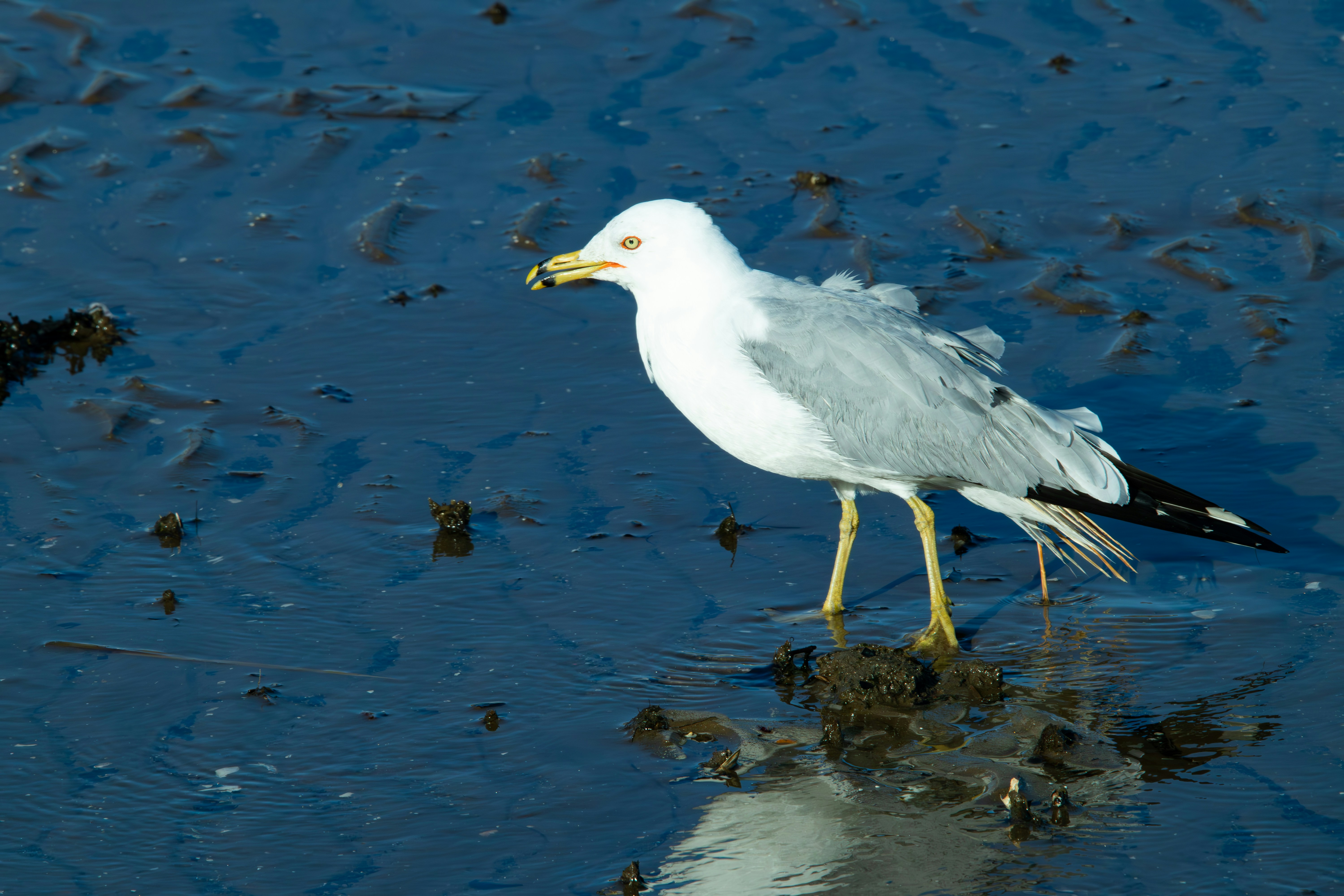 Photo by ucwhphotography