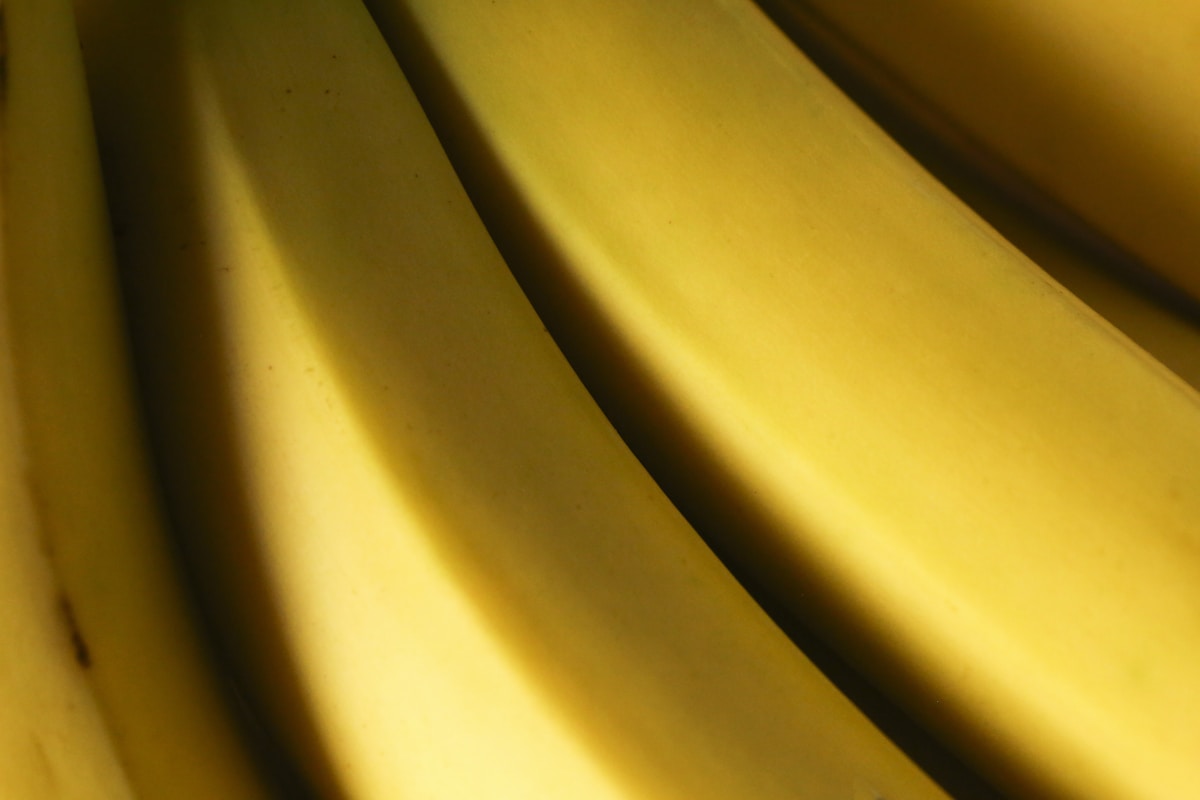general related image for: Savannah Bananas Reach $500M Valuation with Unique Baseball Model