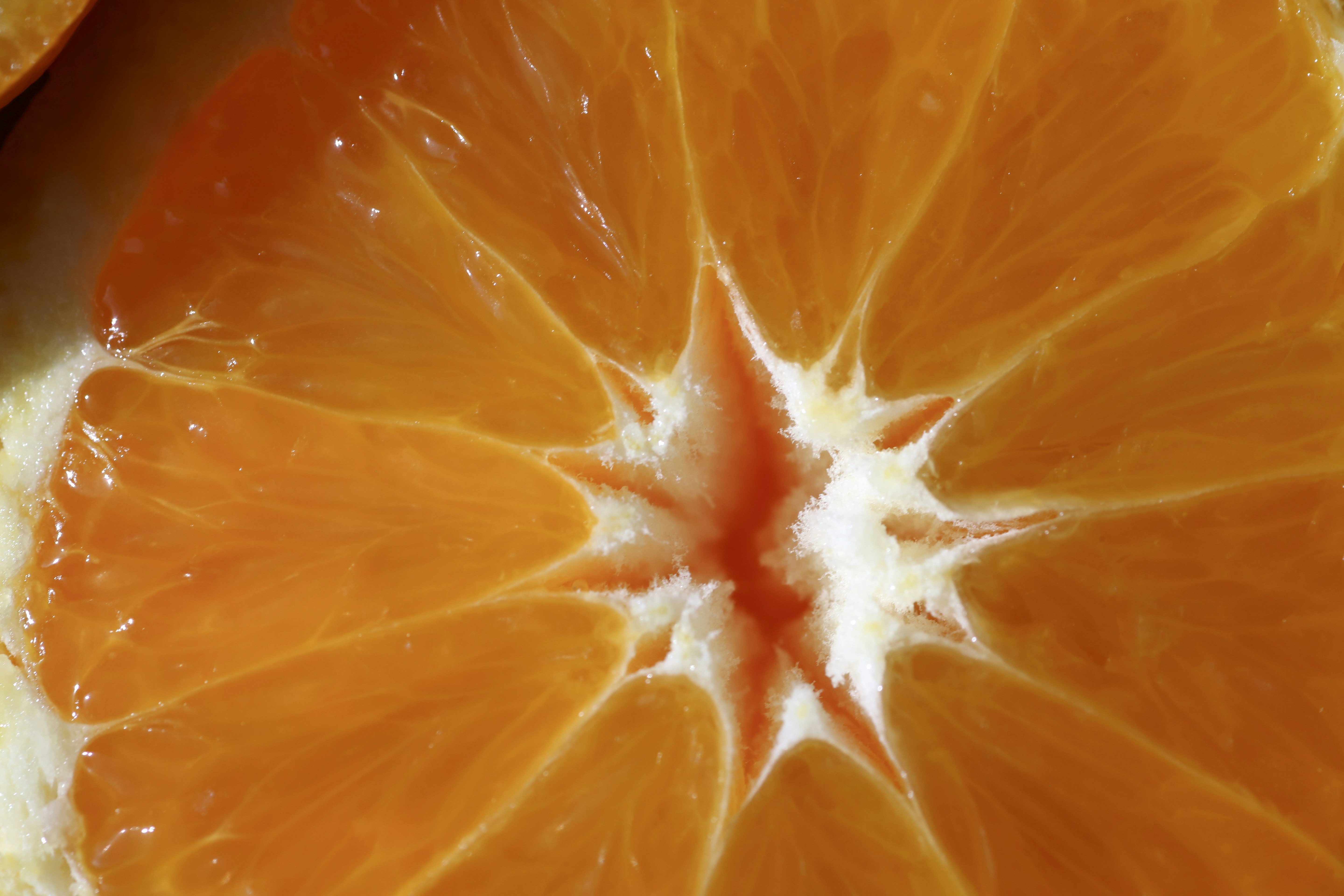A juicy orange fruit shows its center.