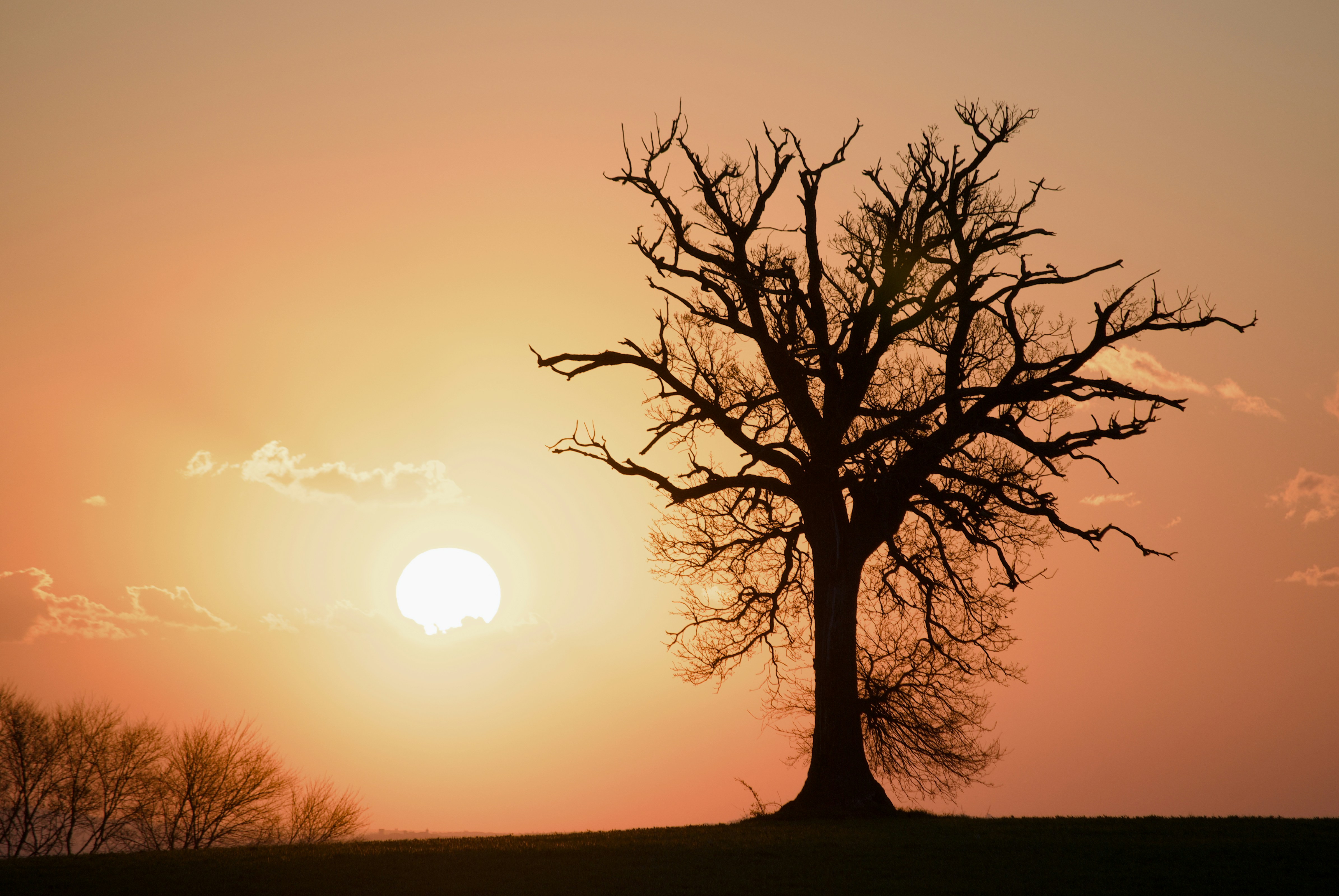 Photo by mariobeducci