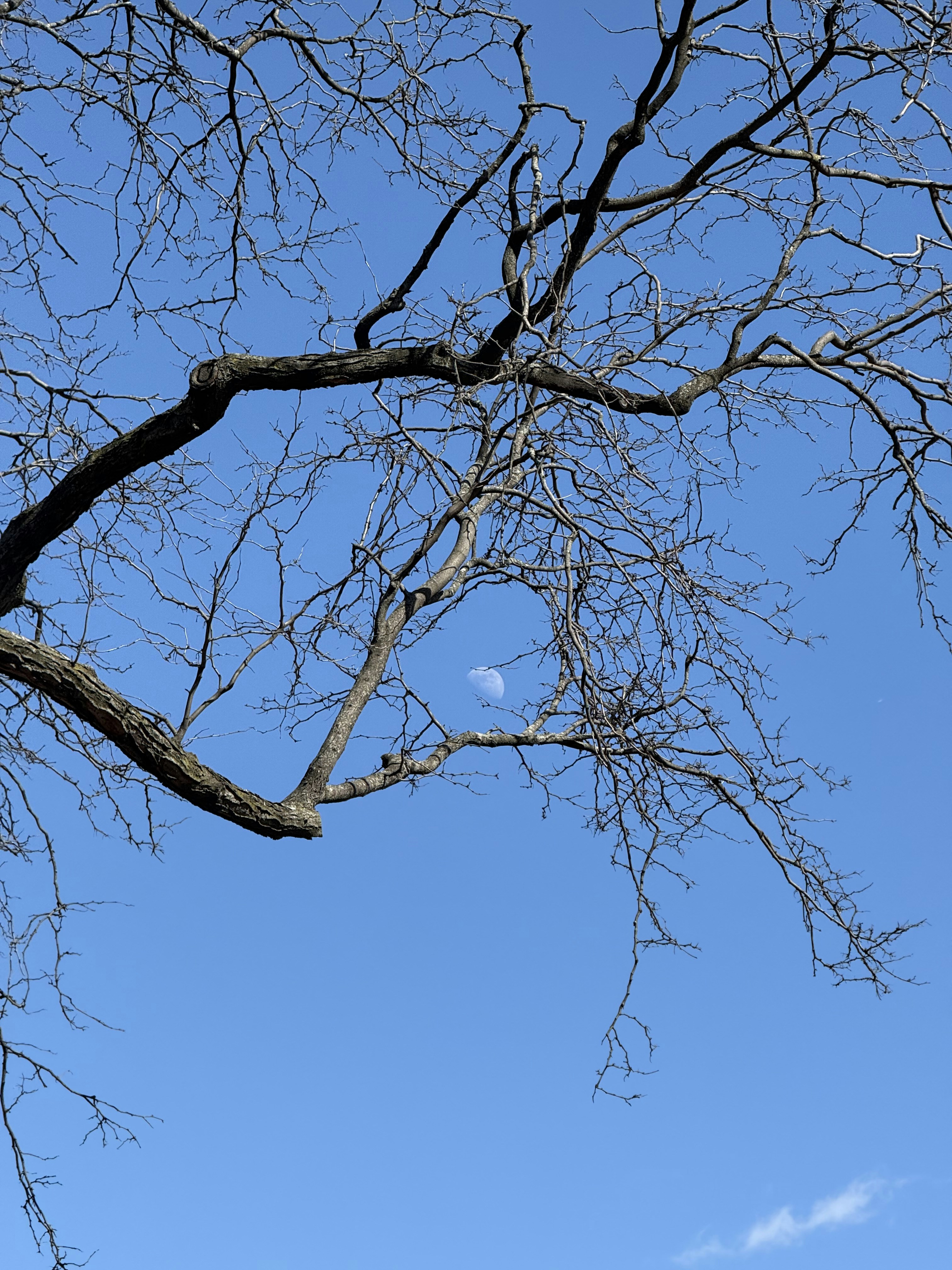 Photo by bittercofy