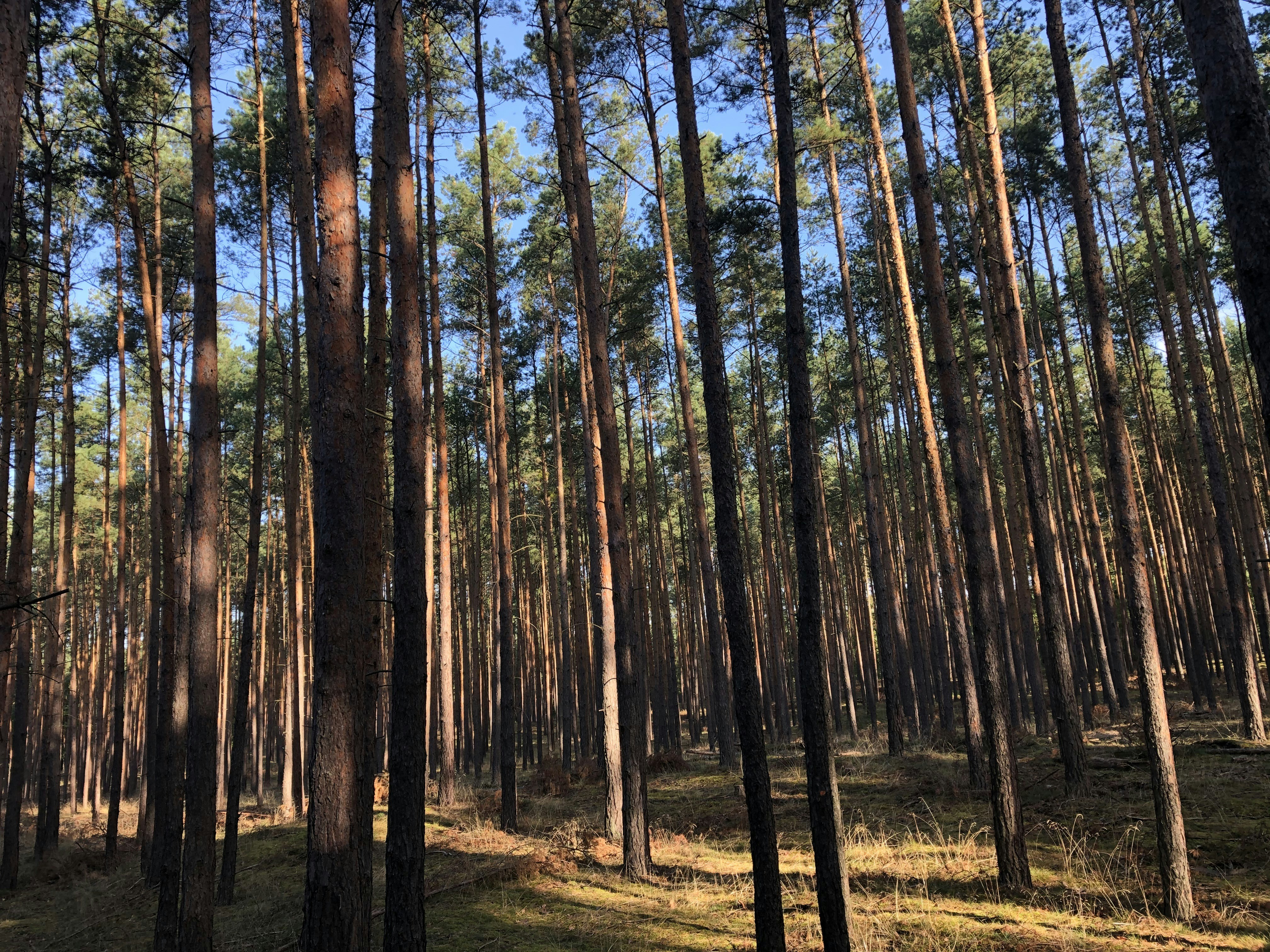 Photo by romofotosandwich