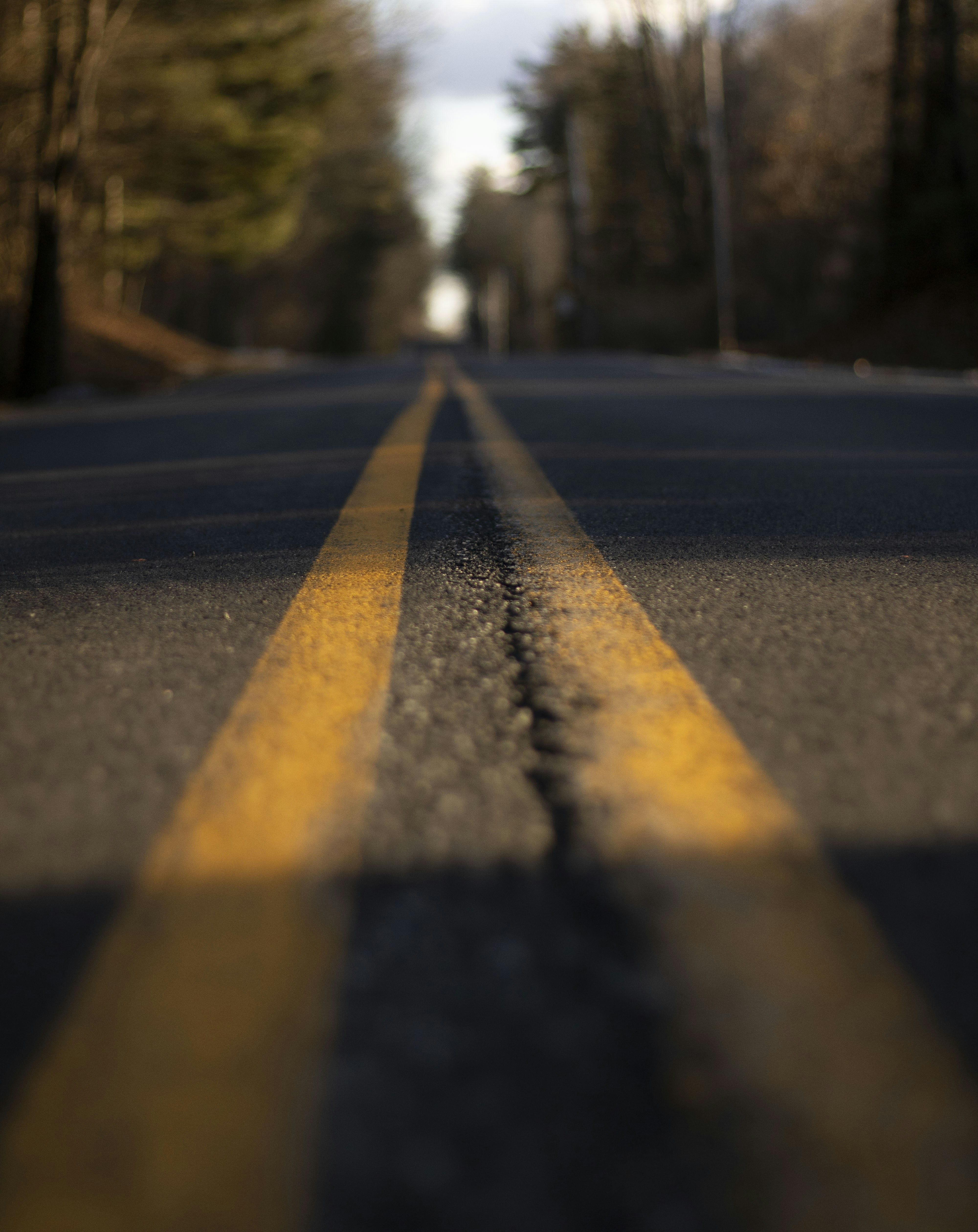 Photo by ivan_aviles