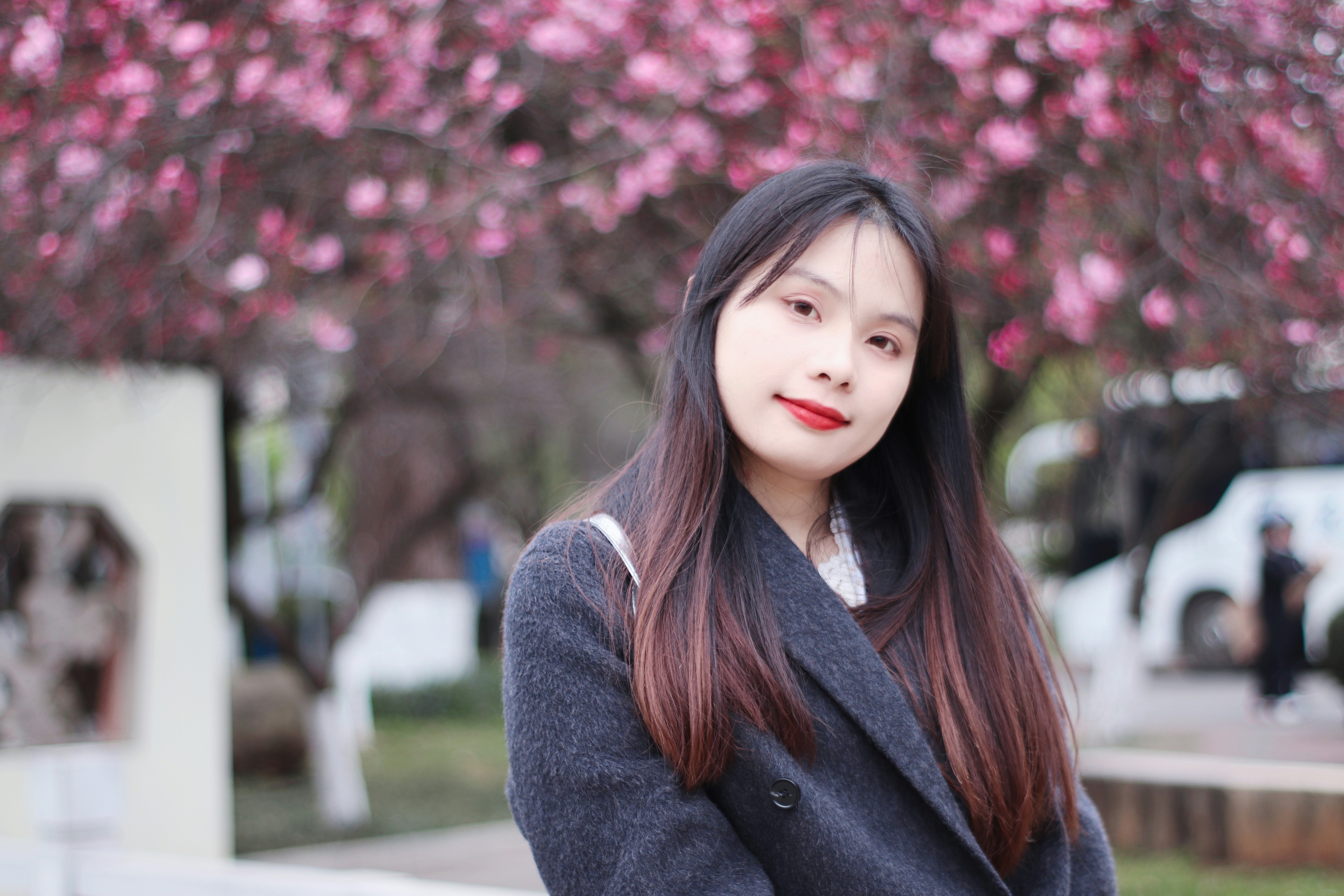 정관장 여성 전용 라인과 남성 전용 라인 비교 분석