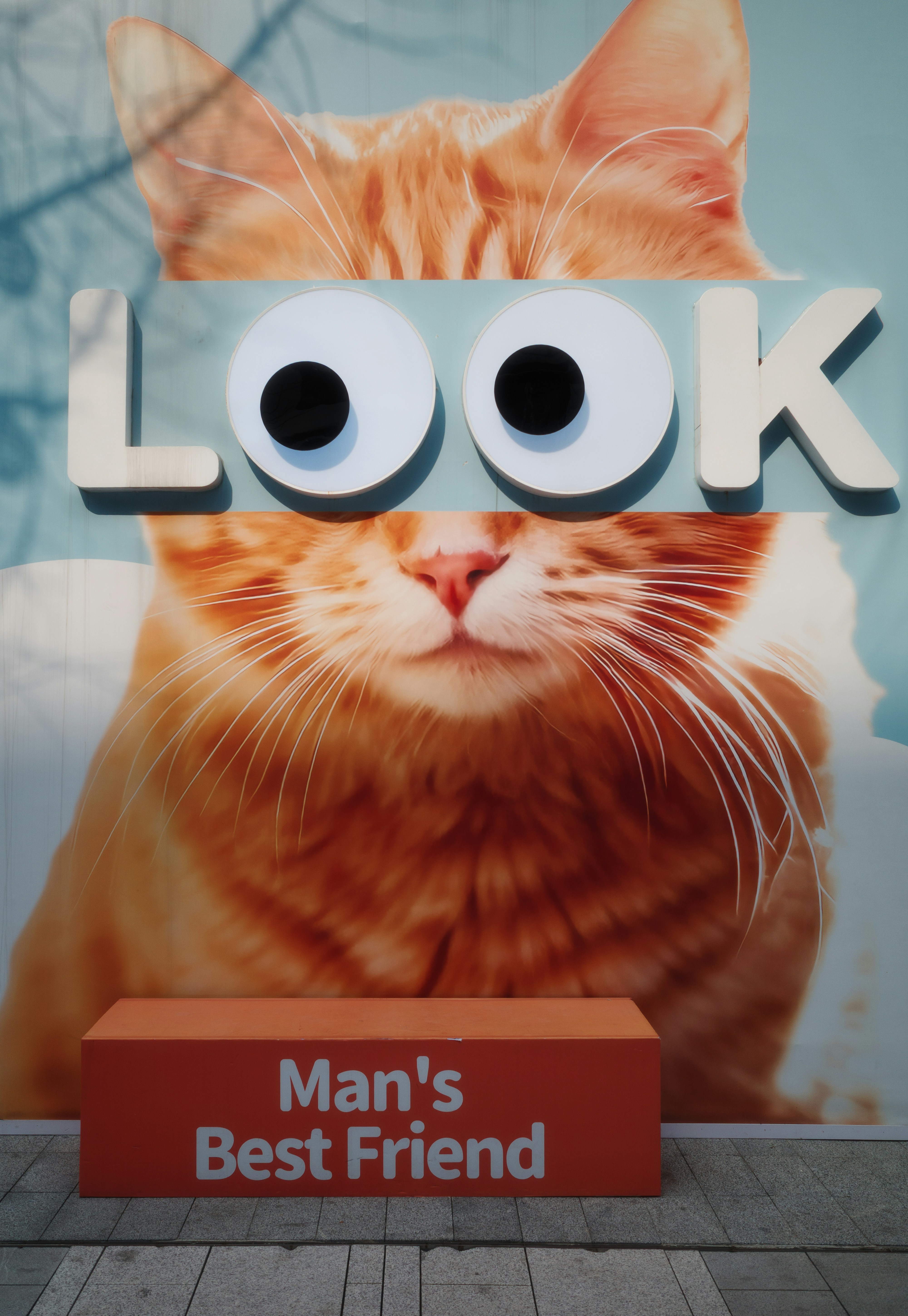 見てください、この猫、男の親友!