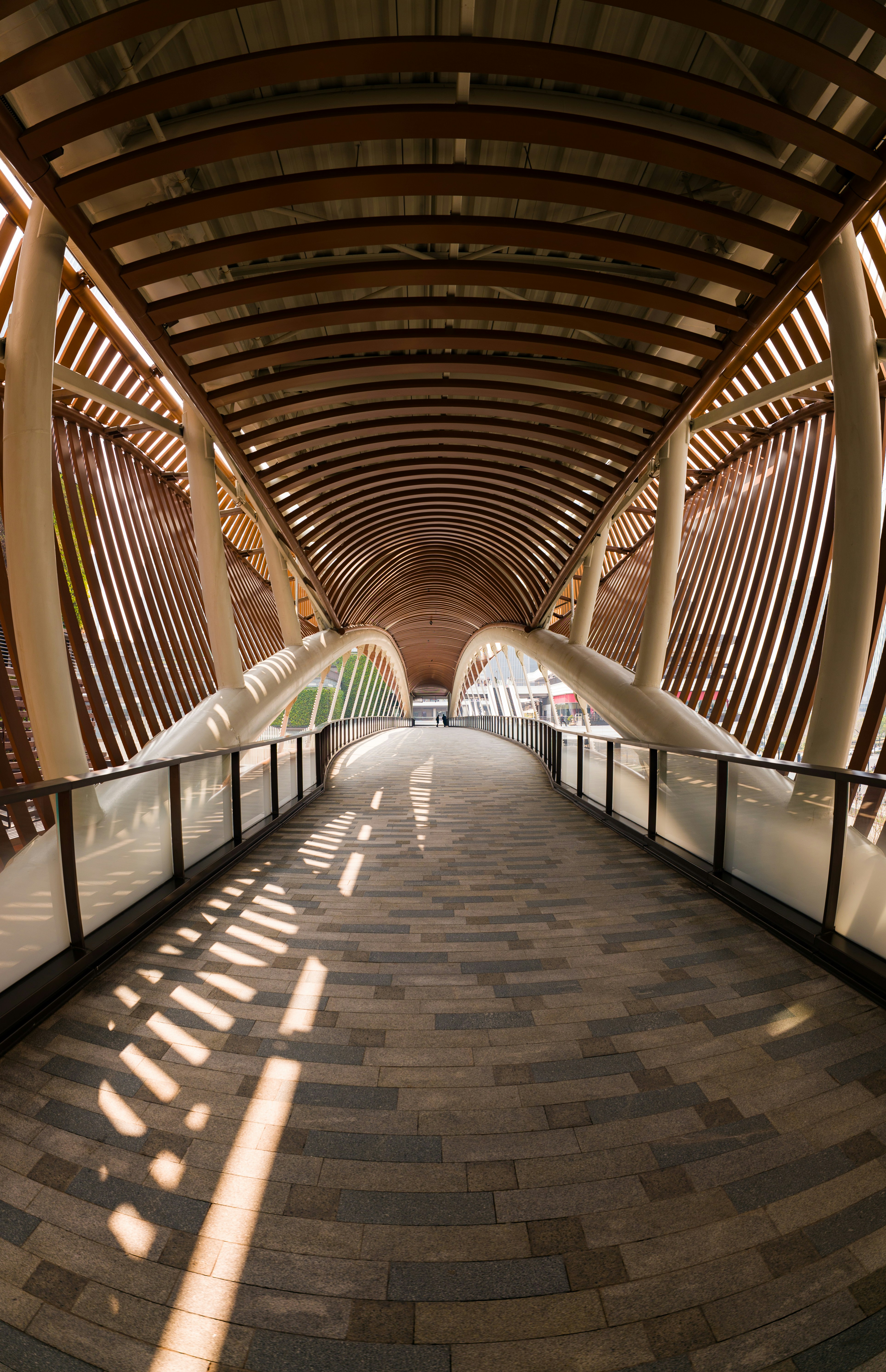 Engineering Degree Apprenticeships