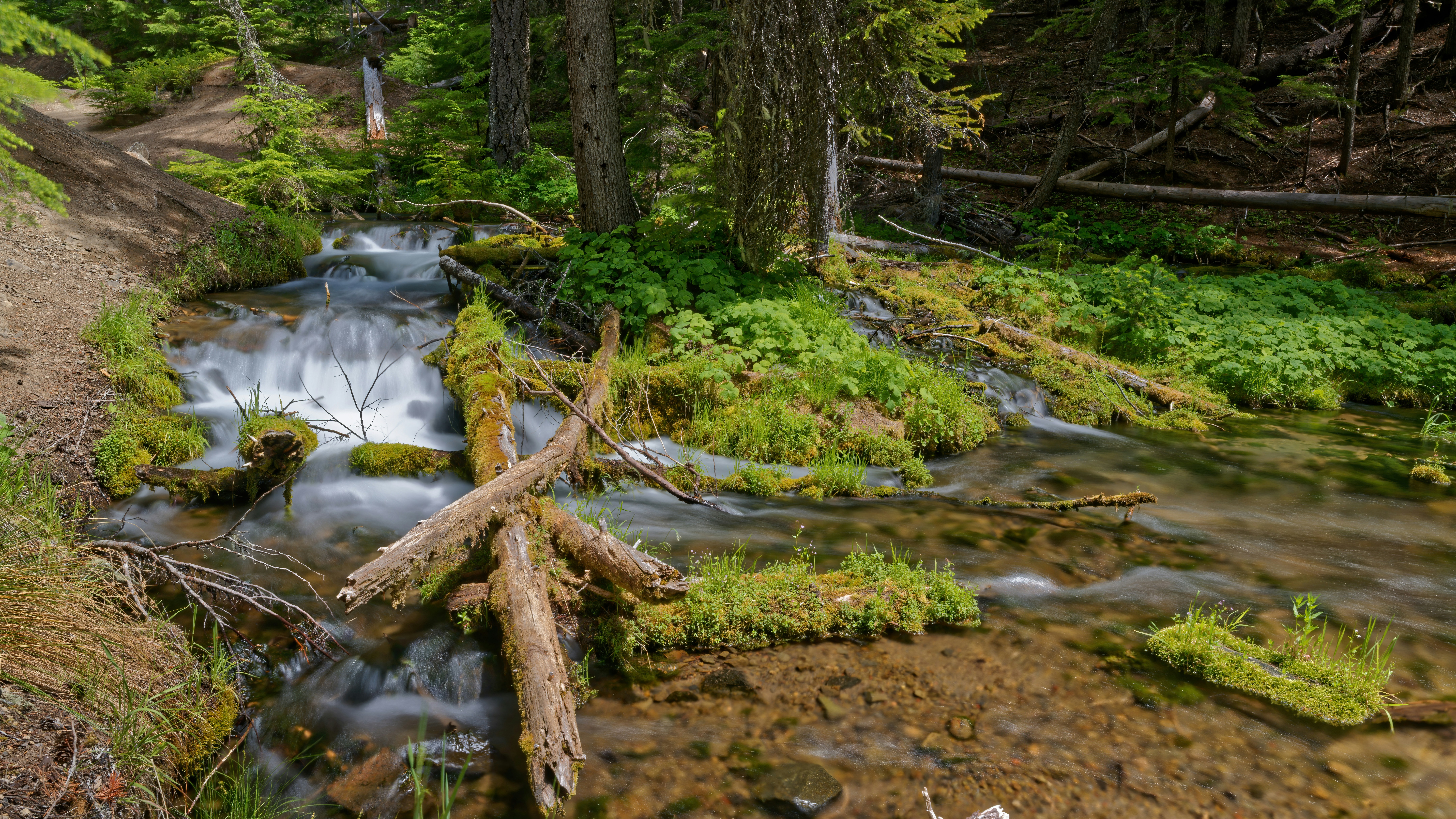 Photo by patrickbigelow_zoom_in