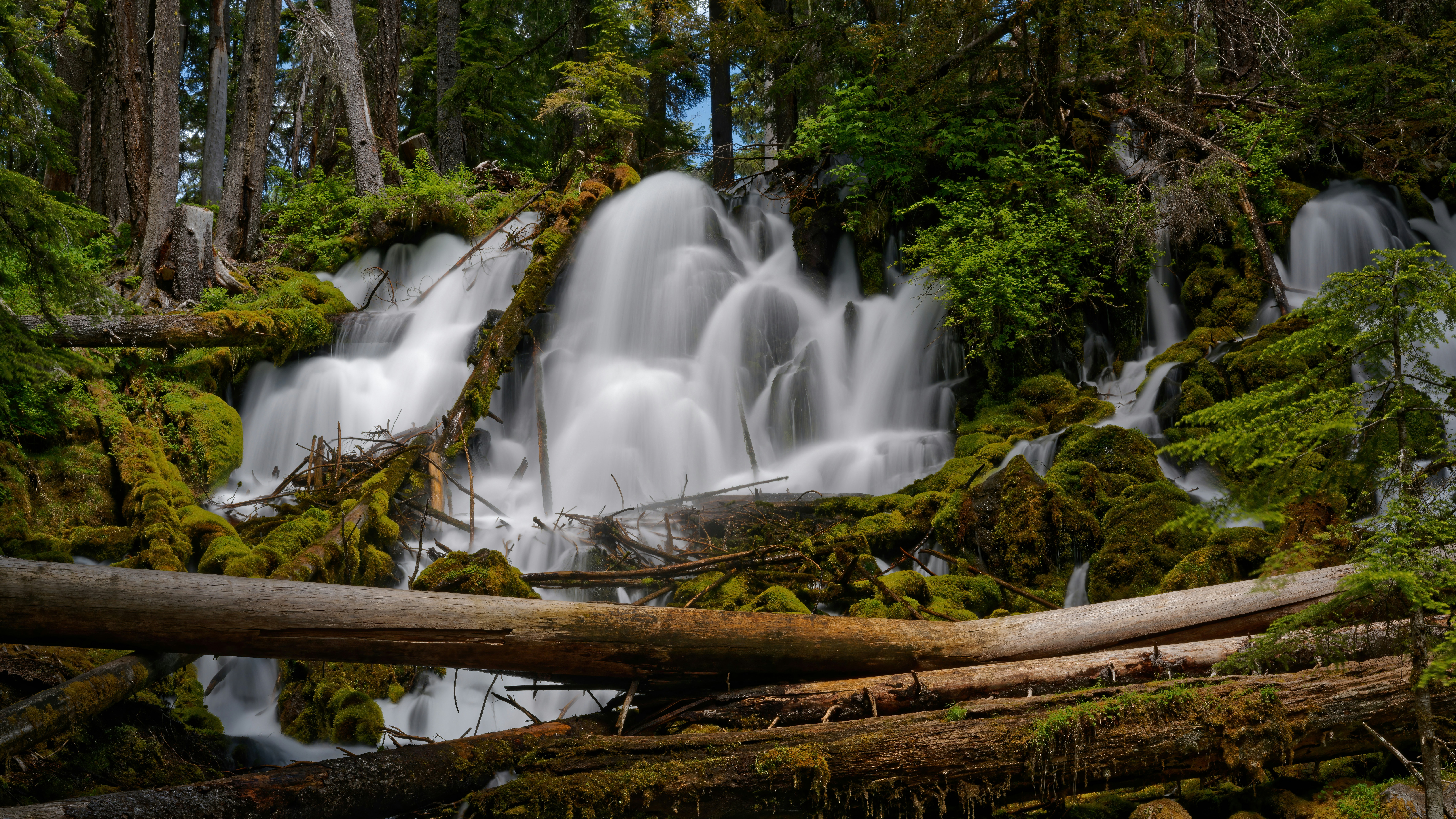 Photo by patrickbigelow_zoom_in