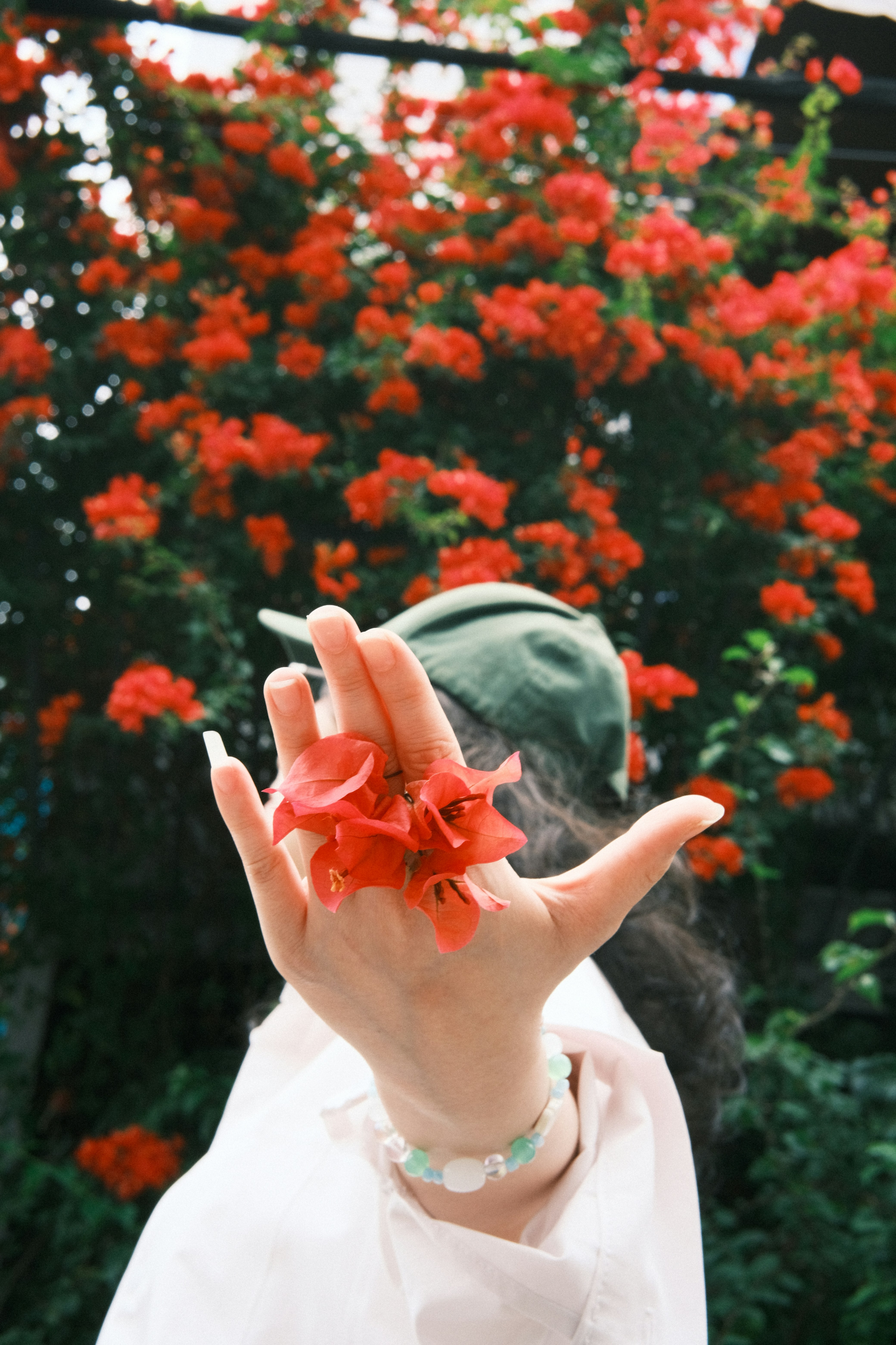 Photo by dvhoang2106