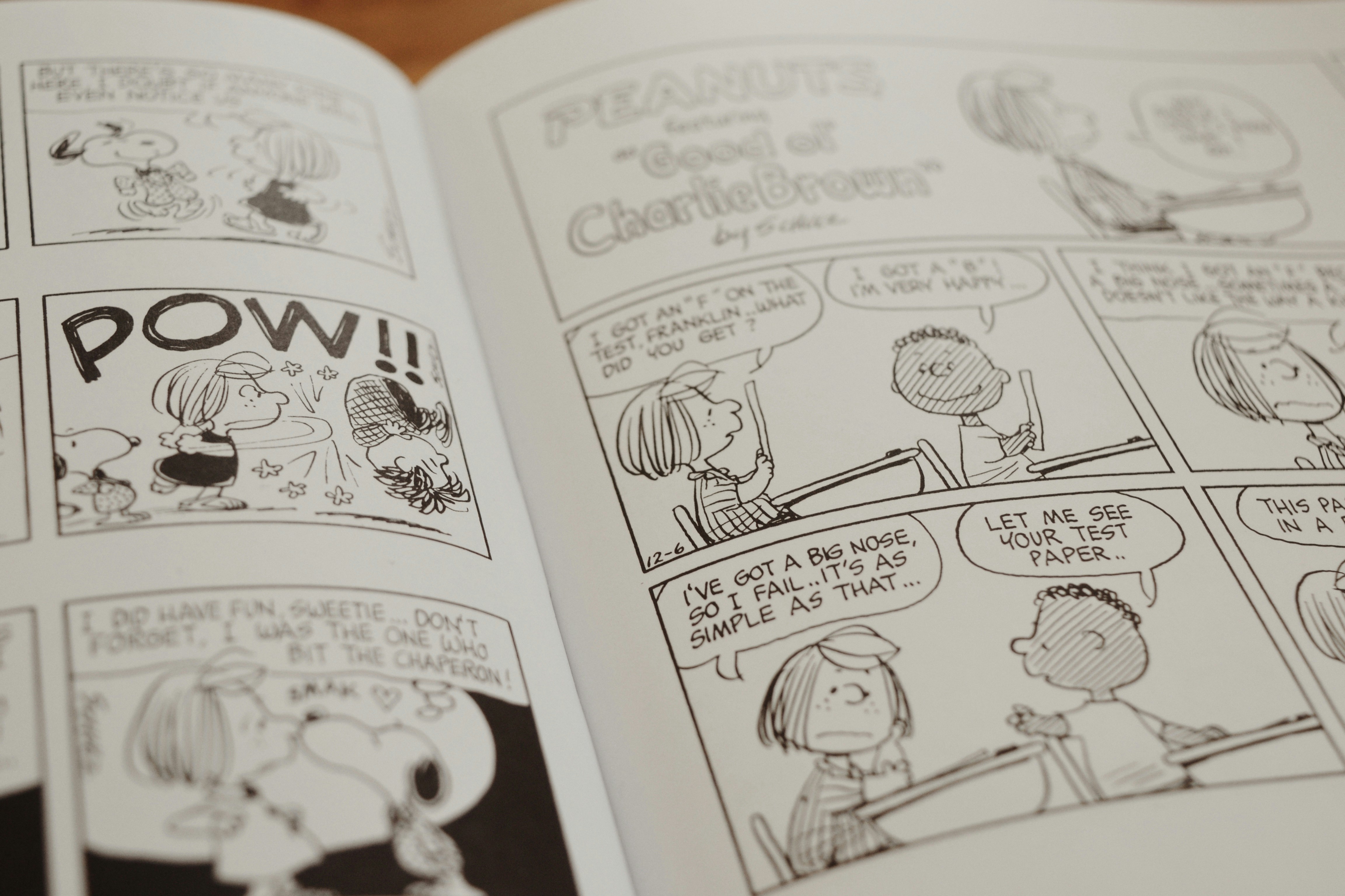 Komik Pasutri Gaje