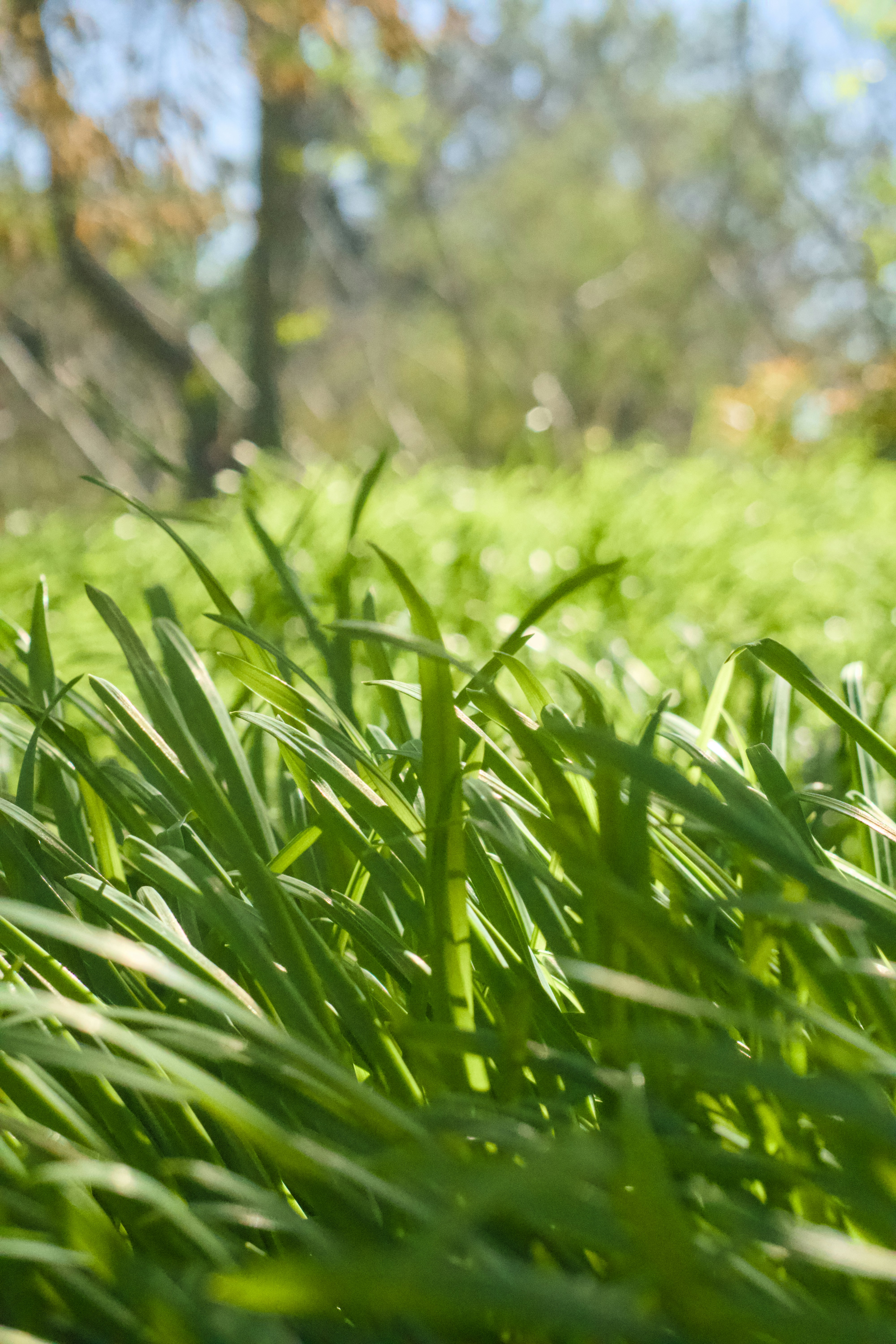 Photo by spencer_demera