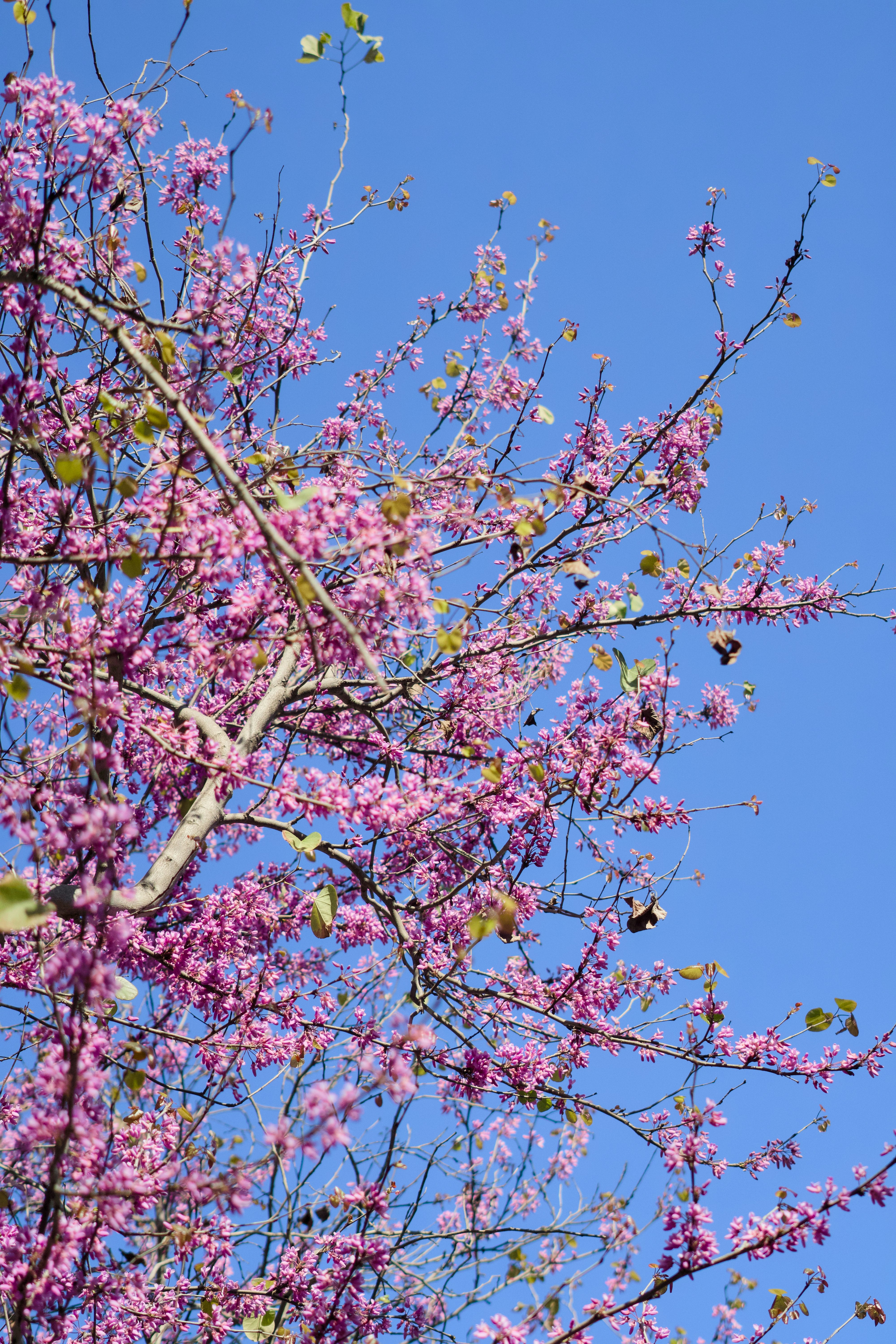 Photo by spencer_demera