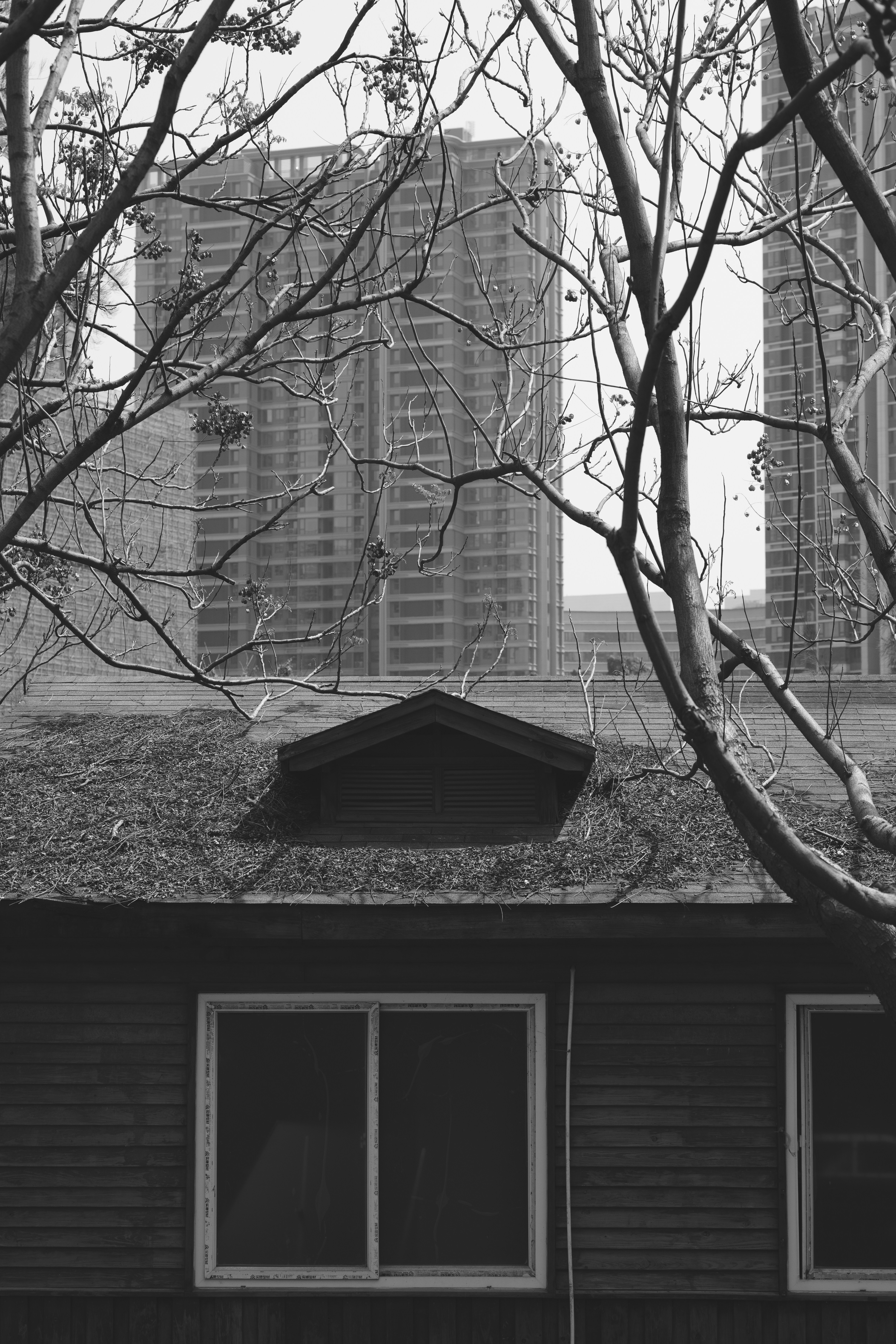 Photo by toxicsmoker