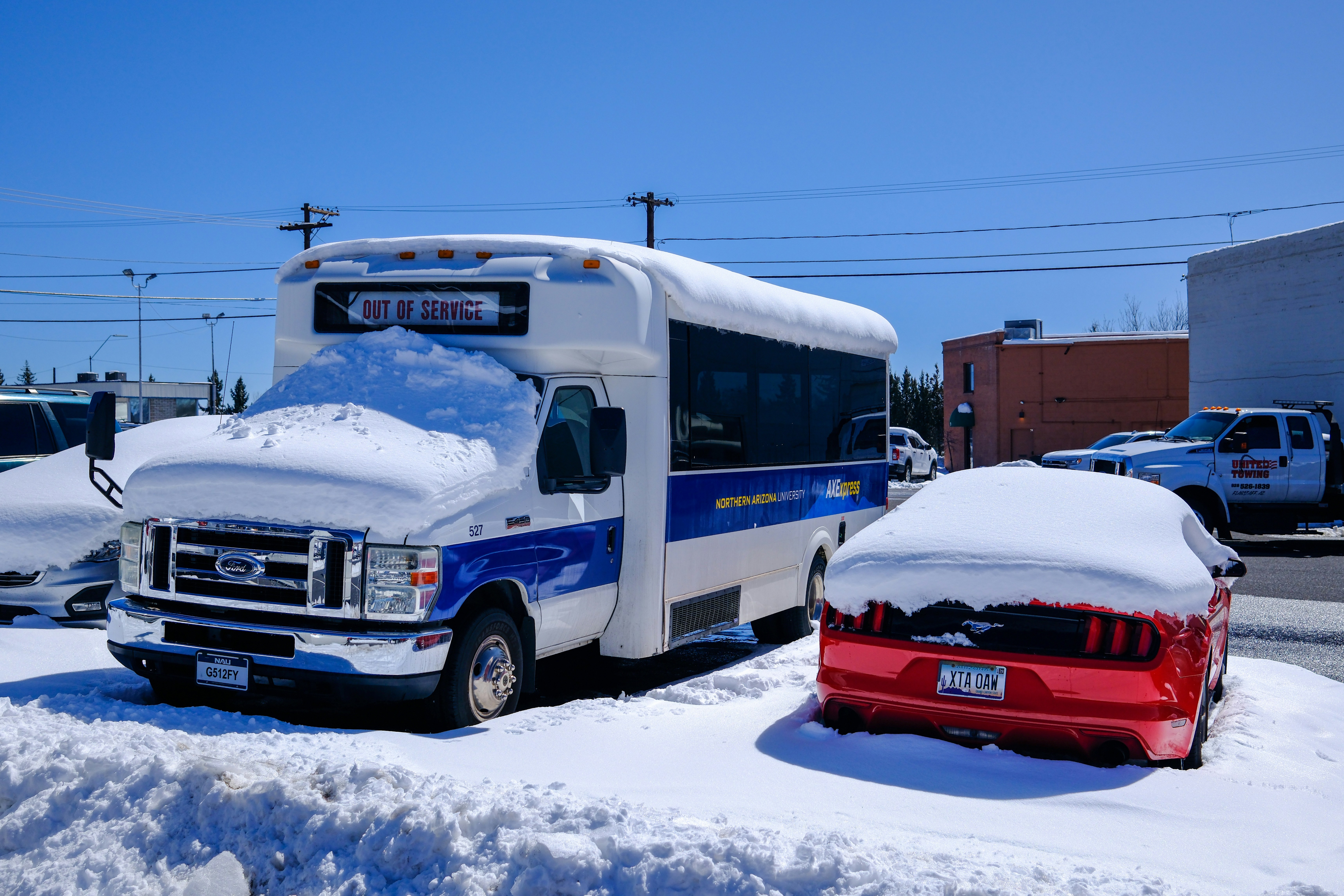 Vehicles are covered in fresh snow.