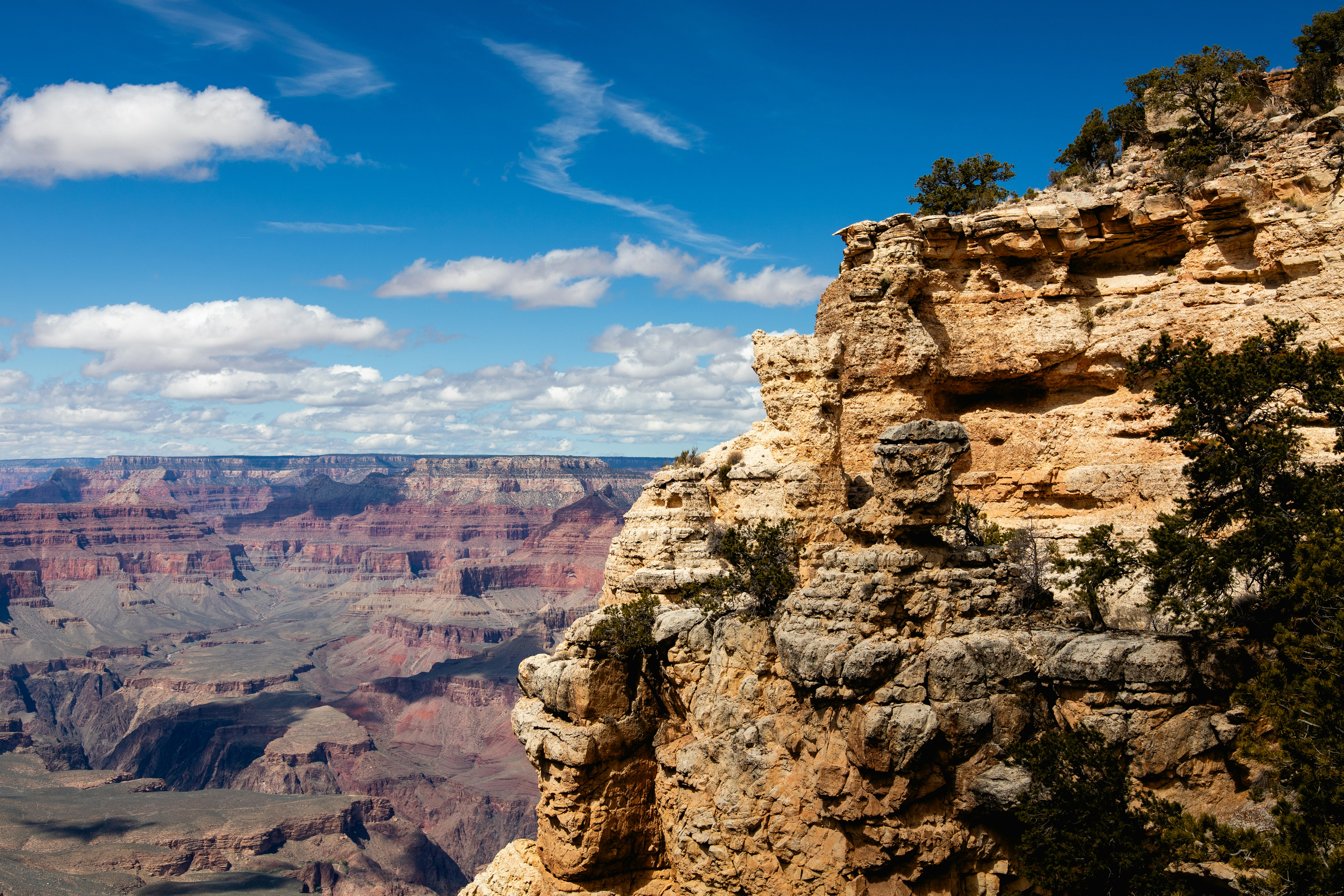 Photo by tpminettphotography