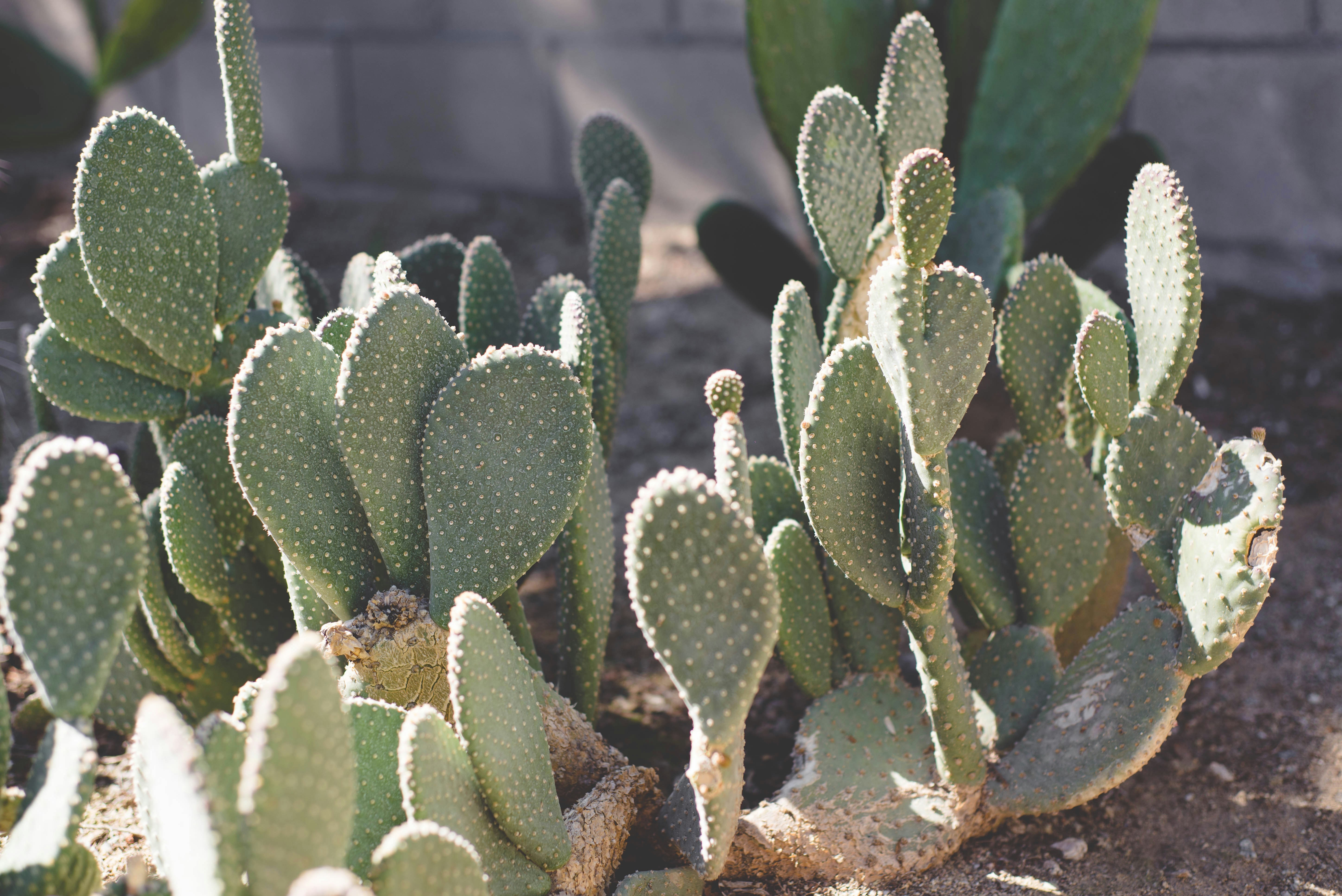 Photo by woahdreamig