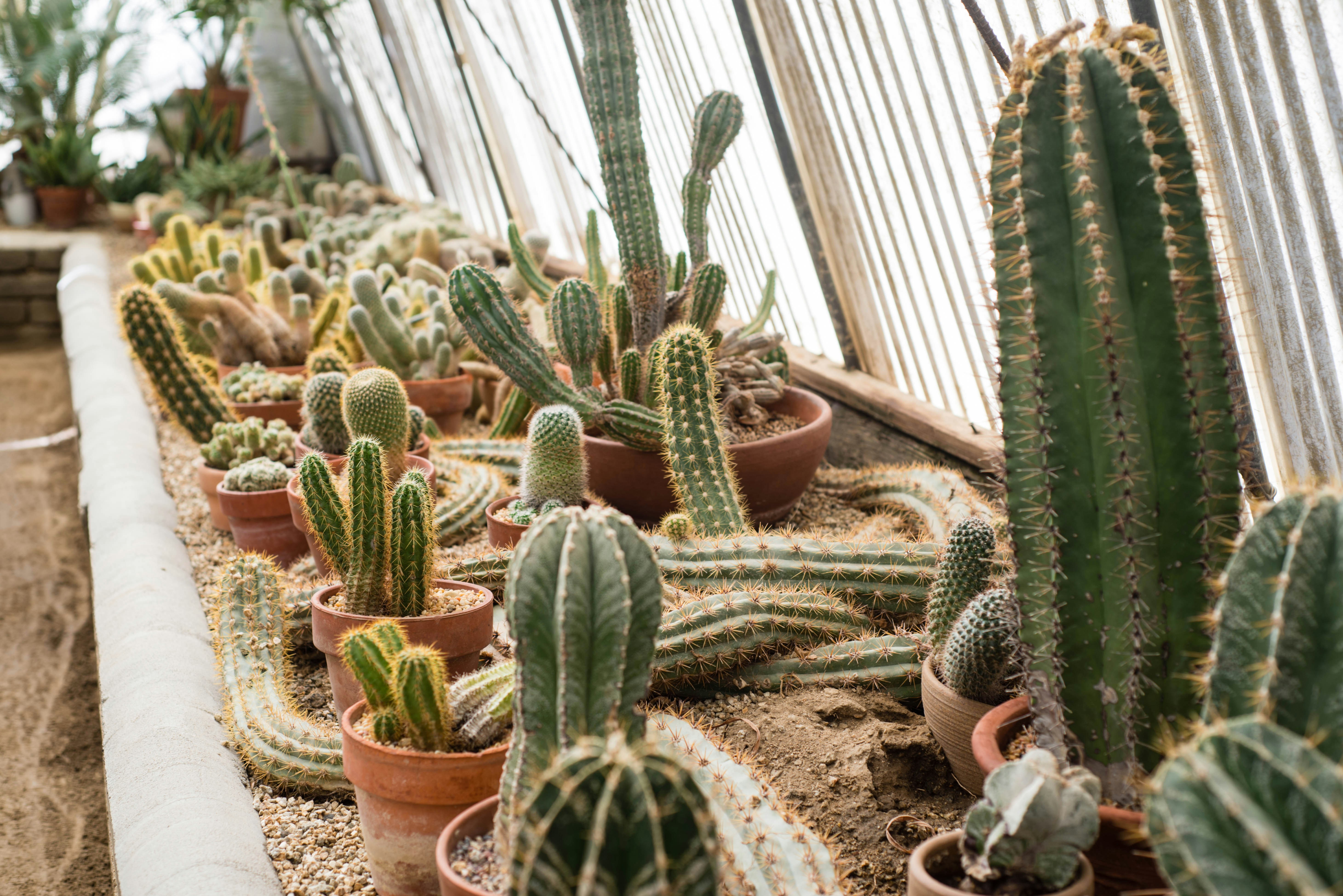 Photo by woahdreamig