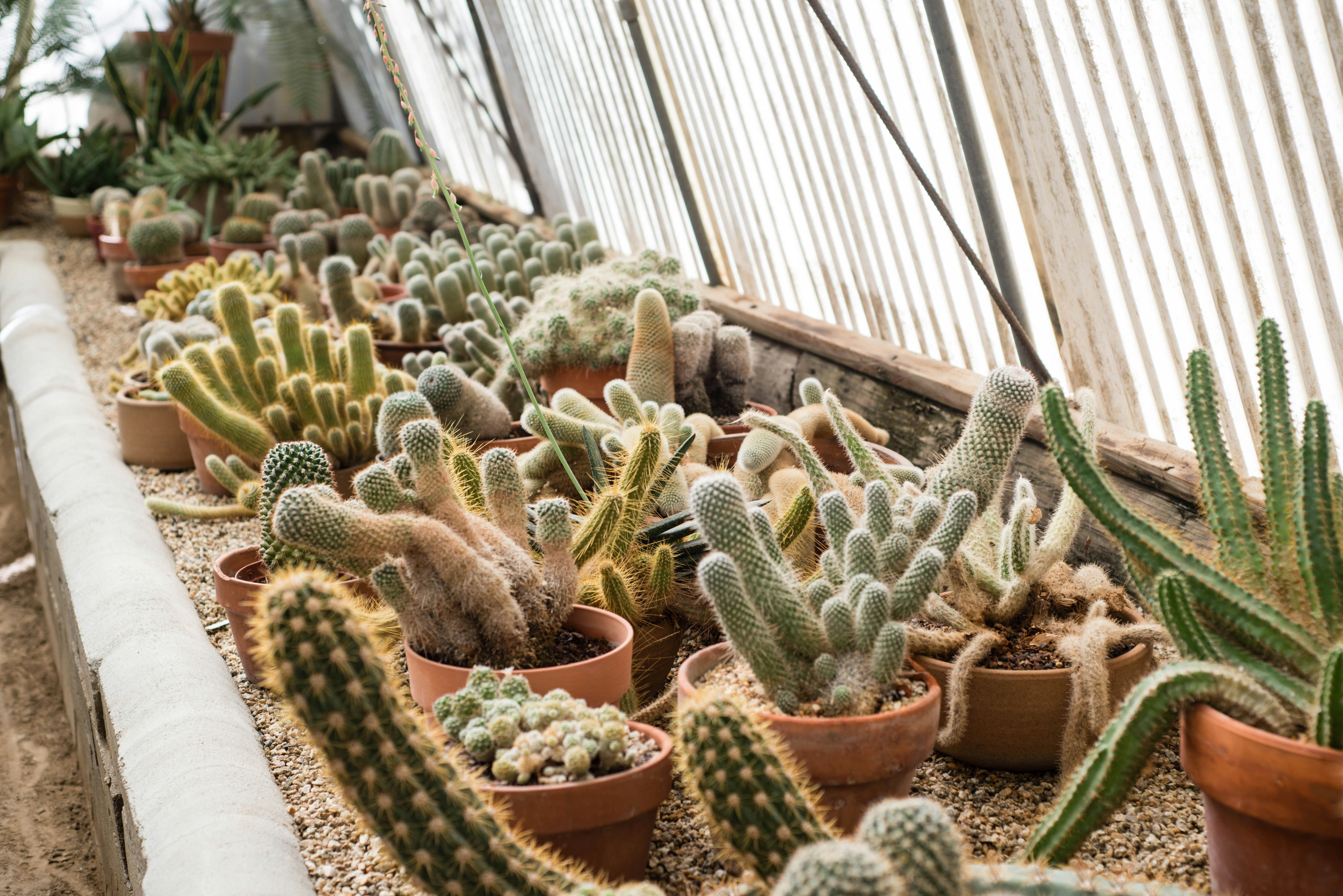 Photo by woahdreamig